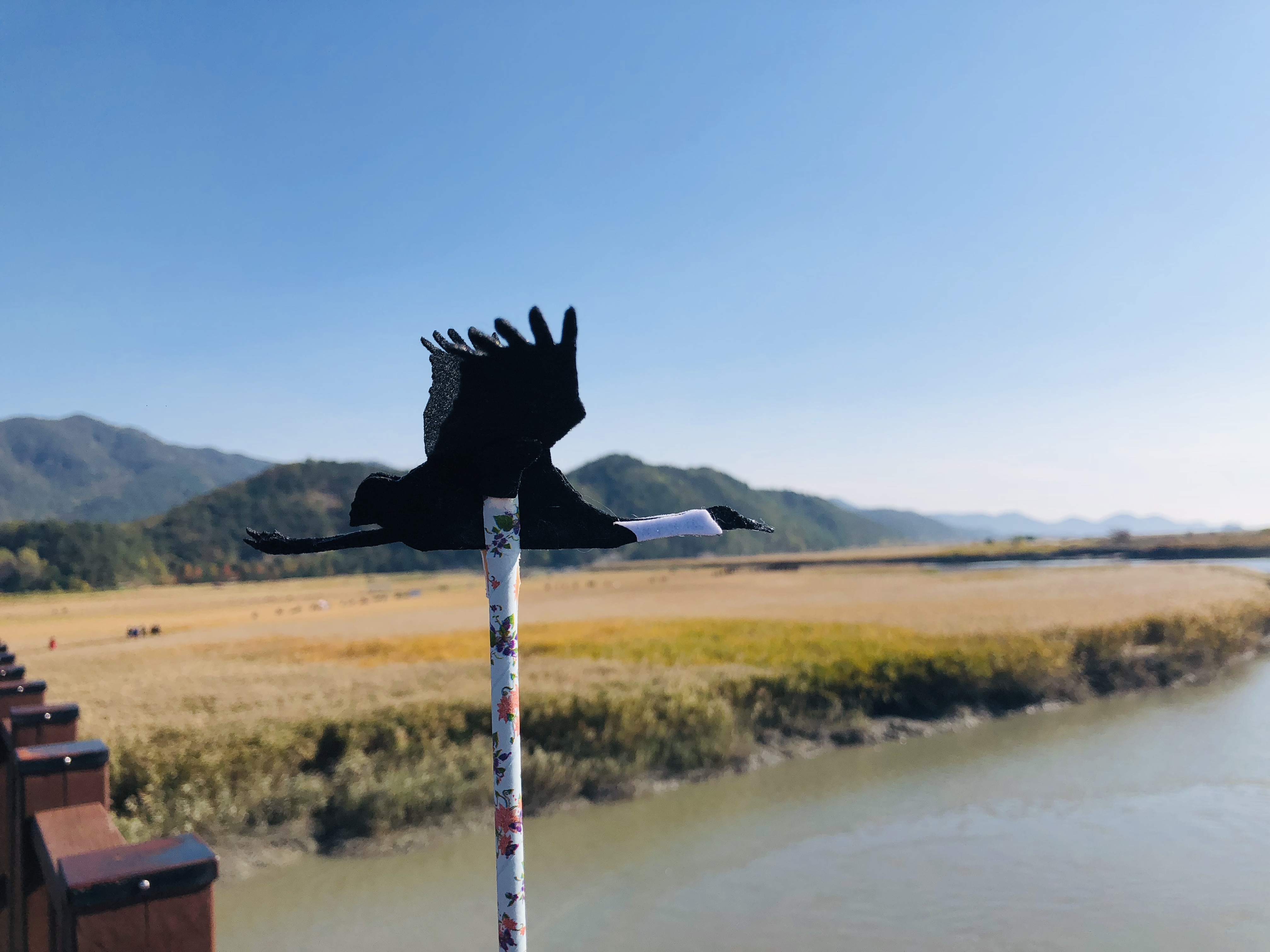 4A625616-E17B-4F91-877F-2165FF7B5223.jpeg