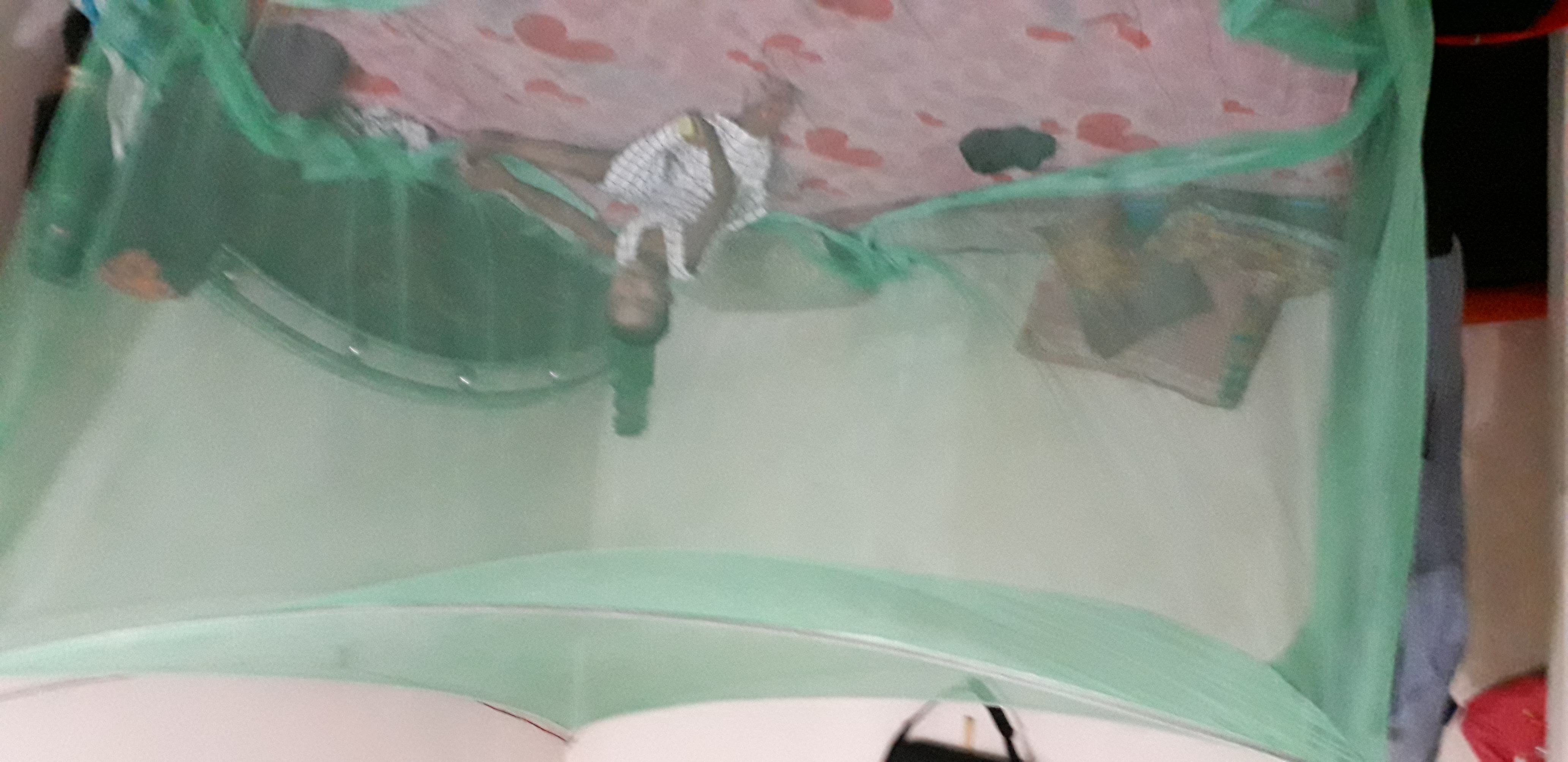 20181019_181802.jpg