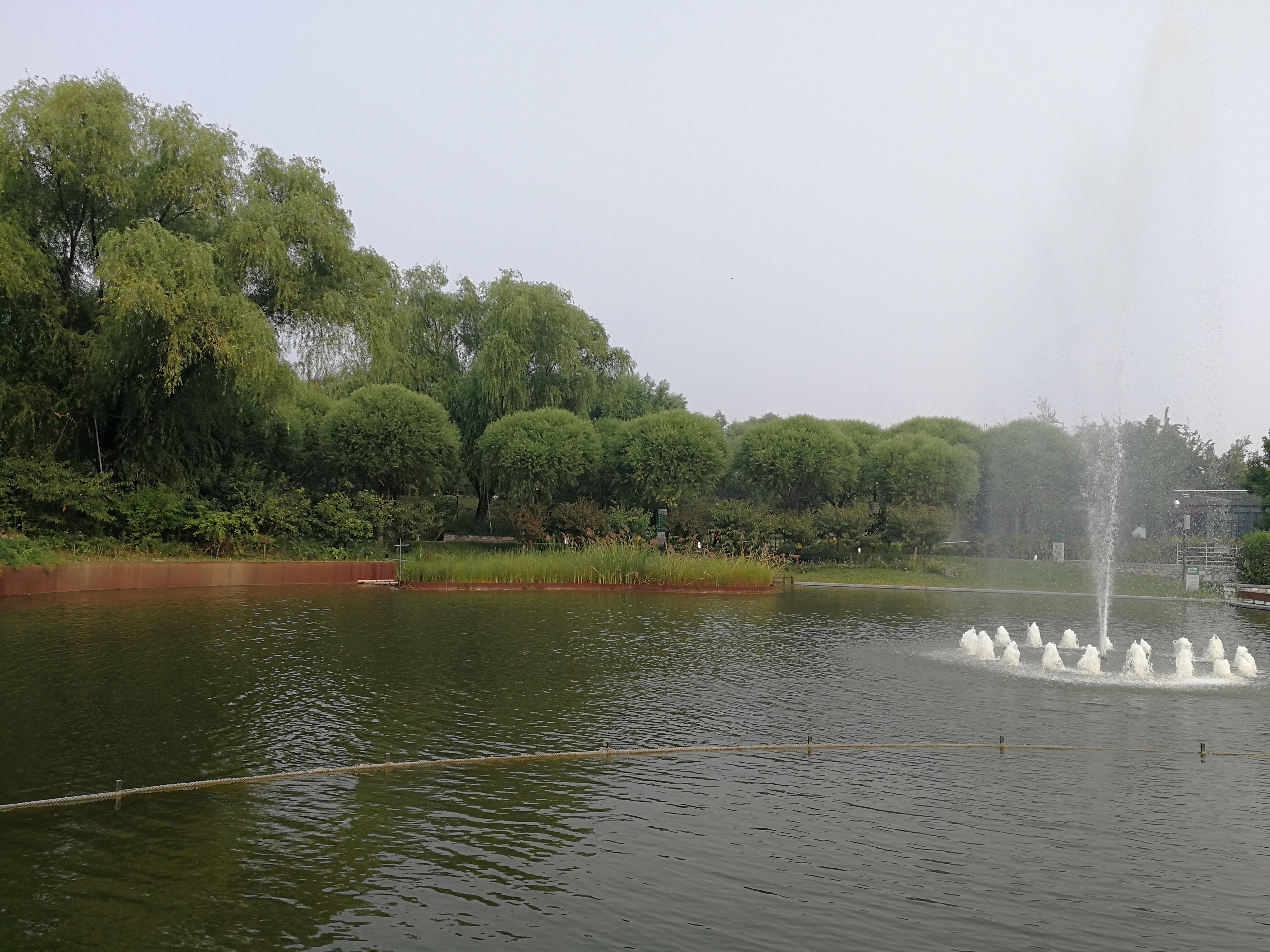 IMG_20180913_090617.jpg