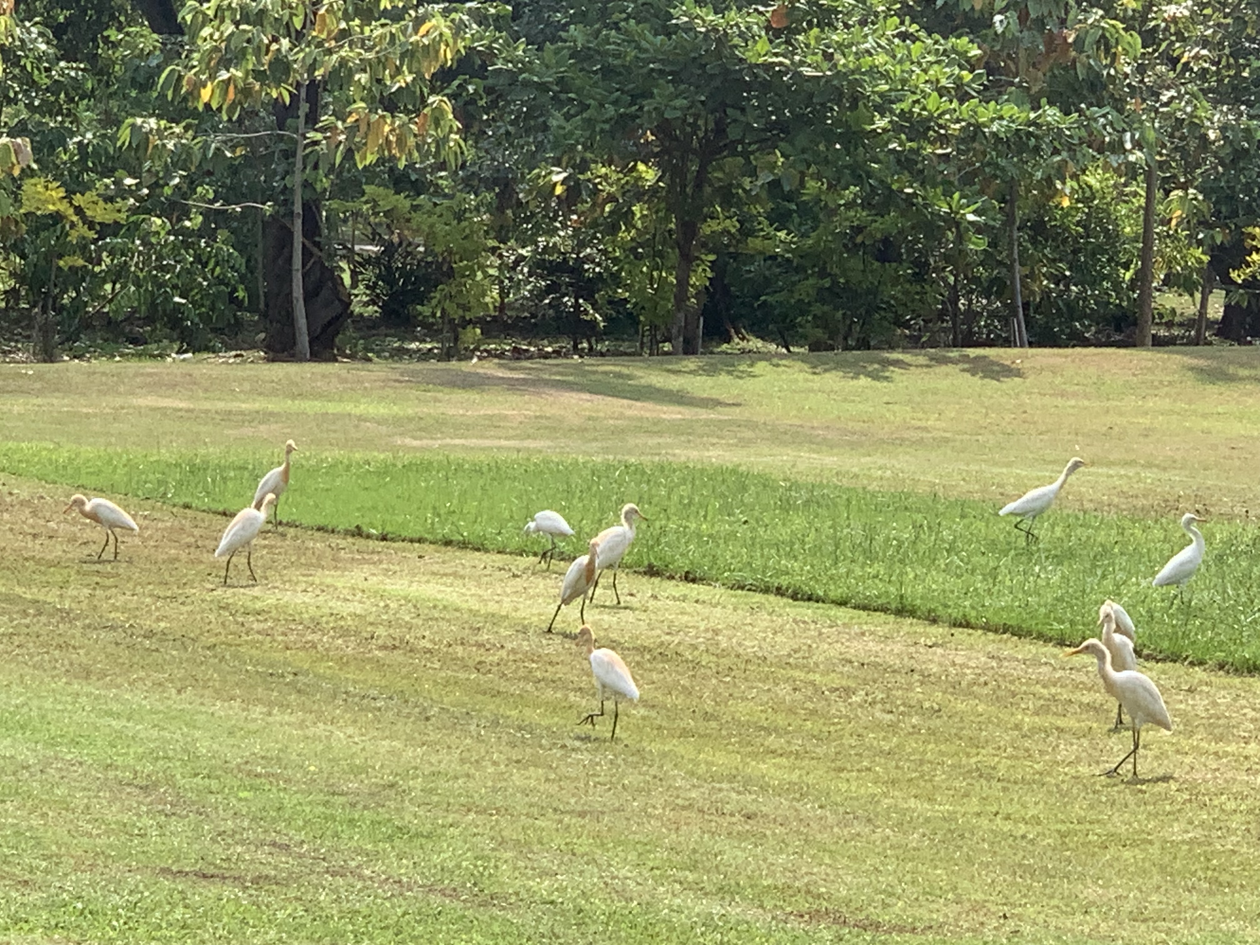 birdwatching spots18.jpg