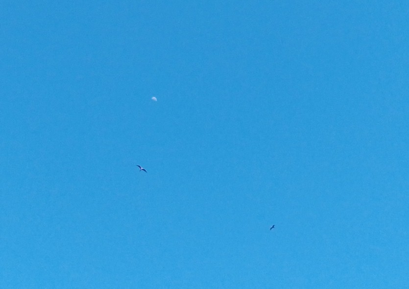 cielo130920.jpg