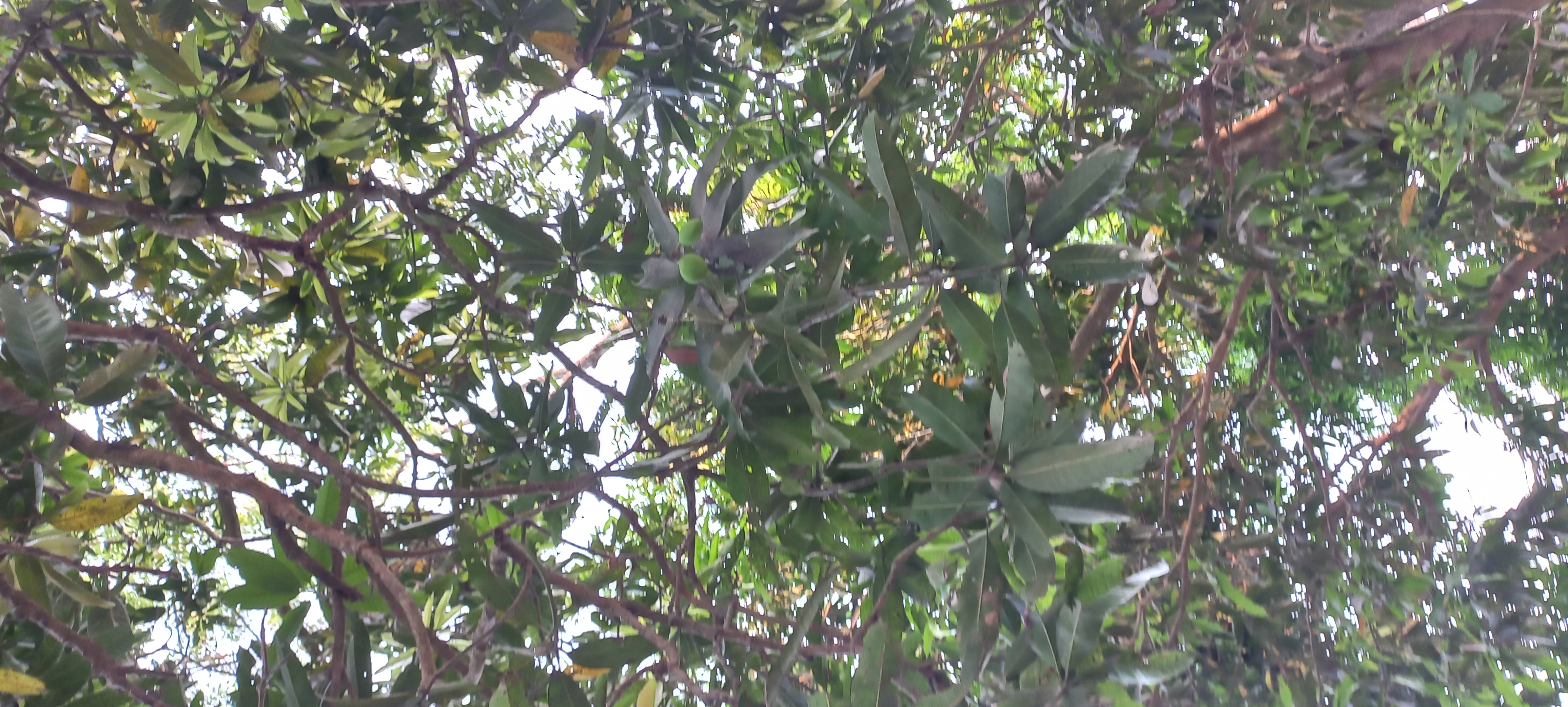 20220331_170325.jpg