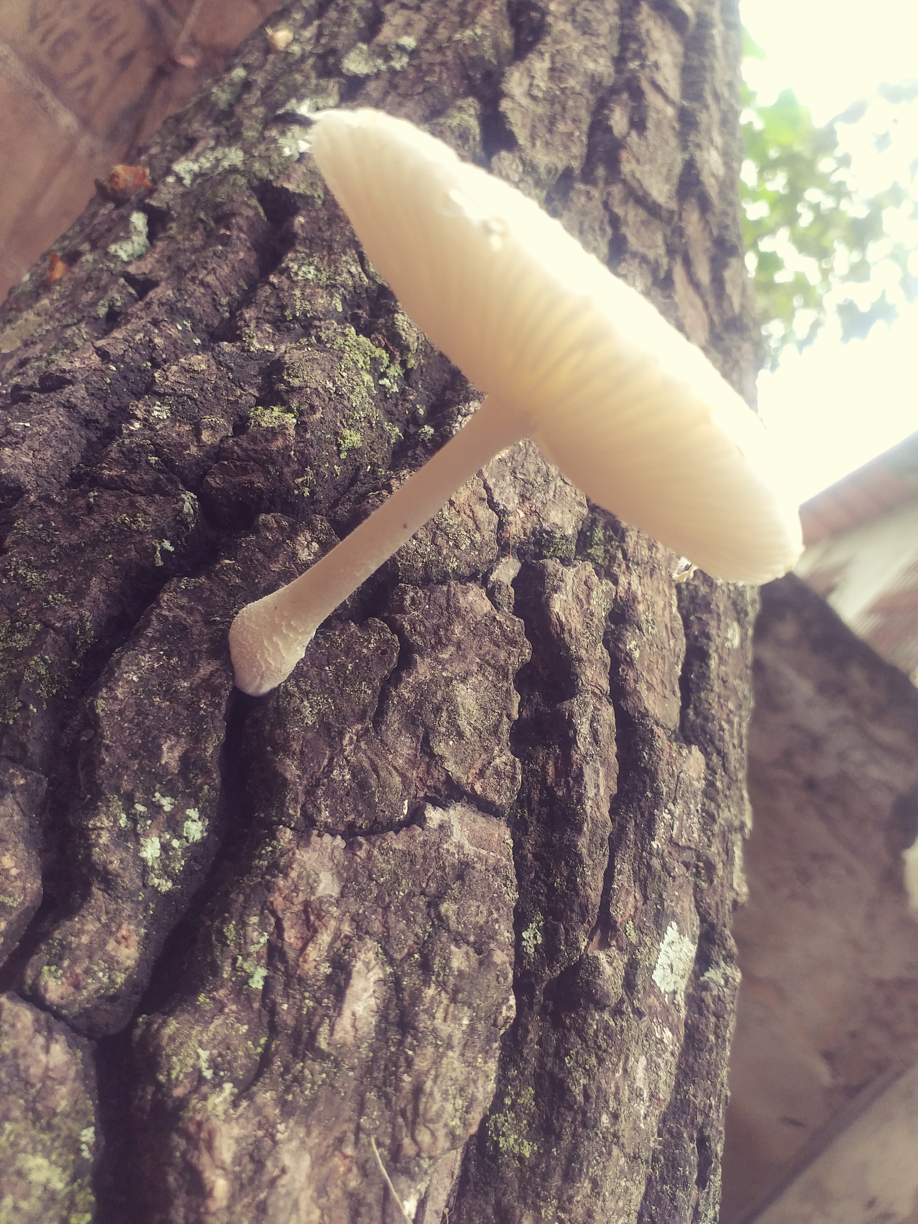 20220614_105220.jpg