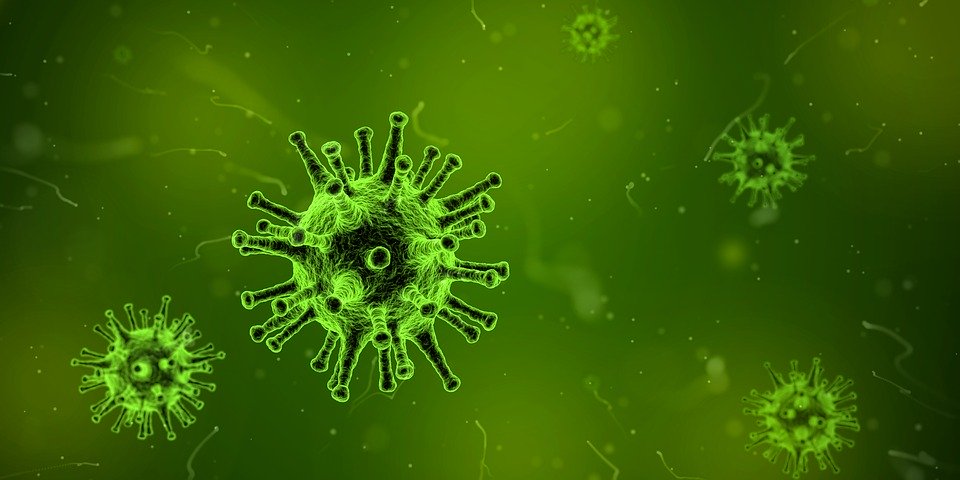virus.webp