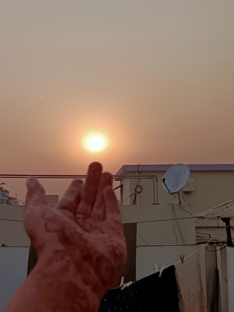 35410.jpg