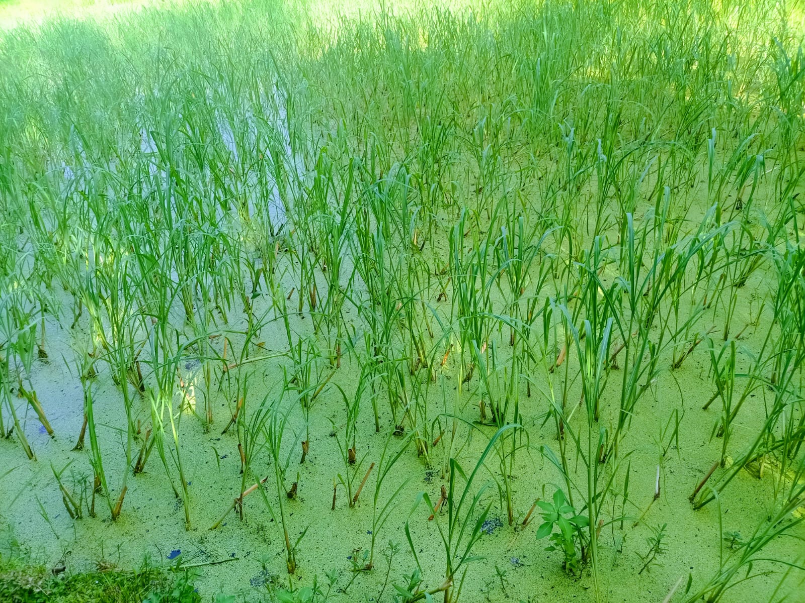 n9.jpg