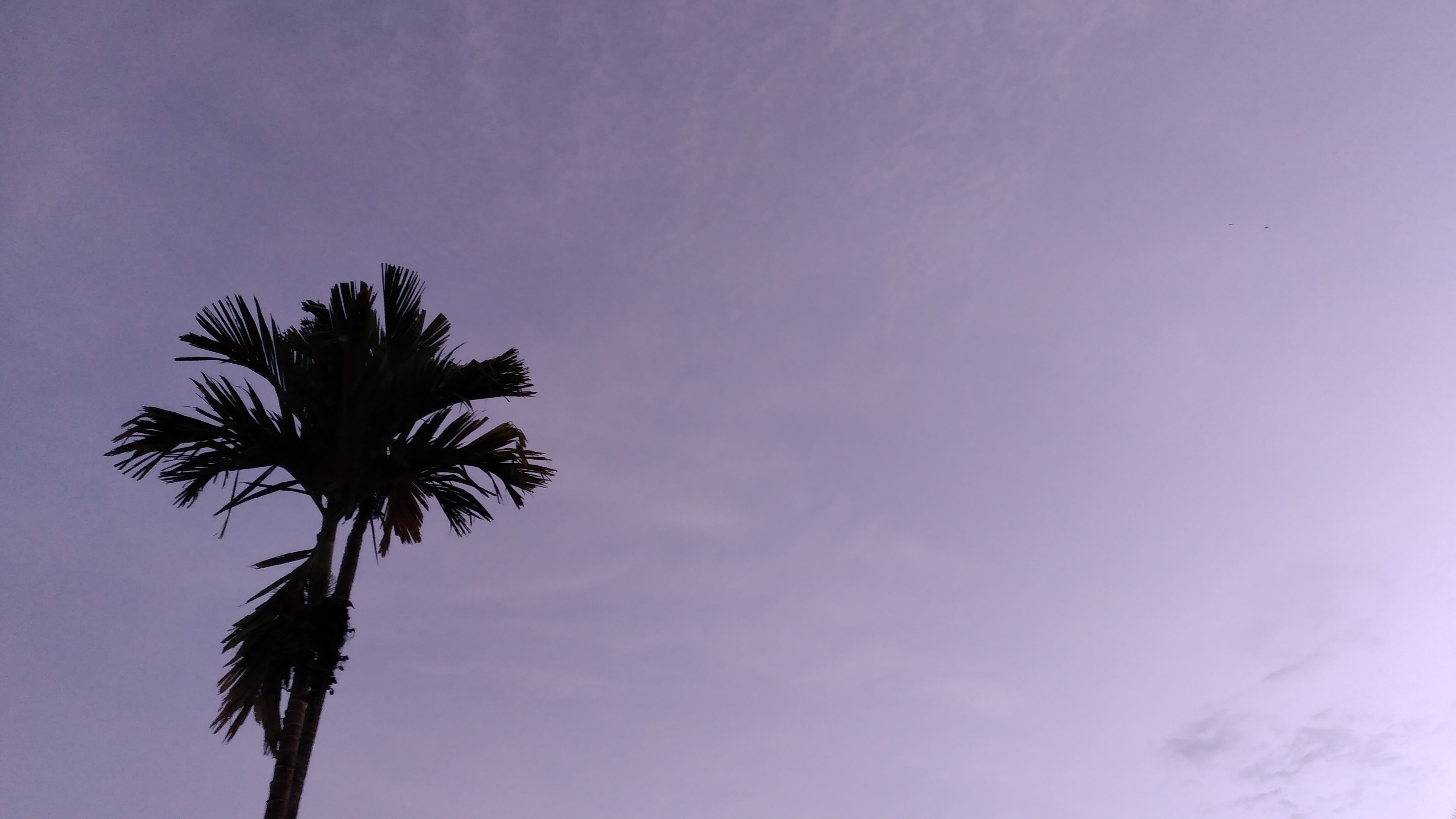 20220923_062228.jpg