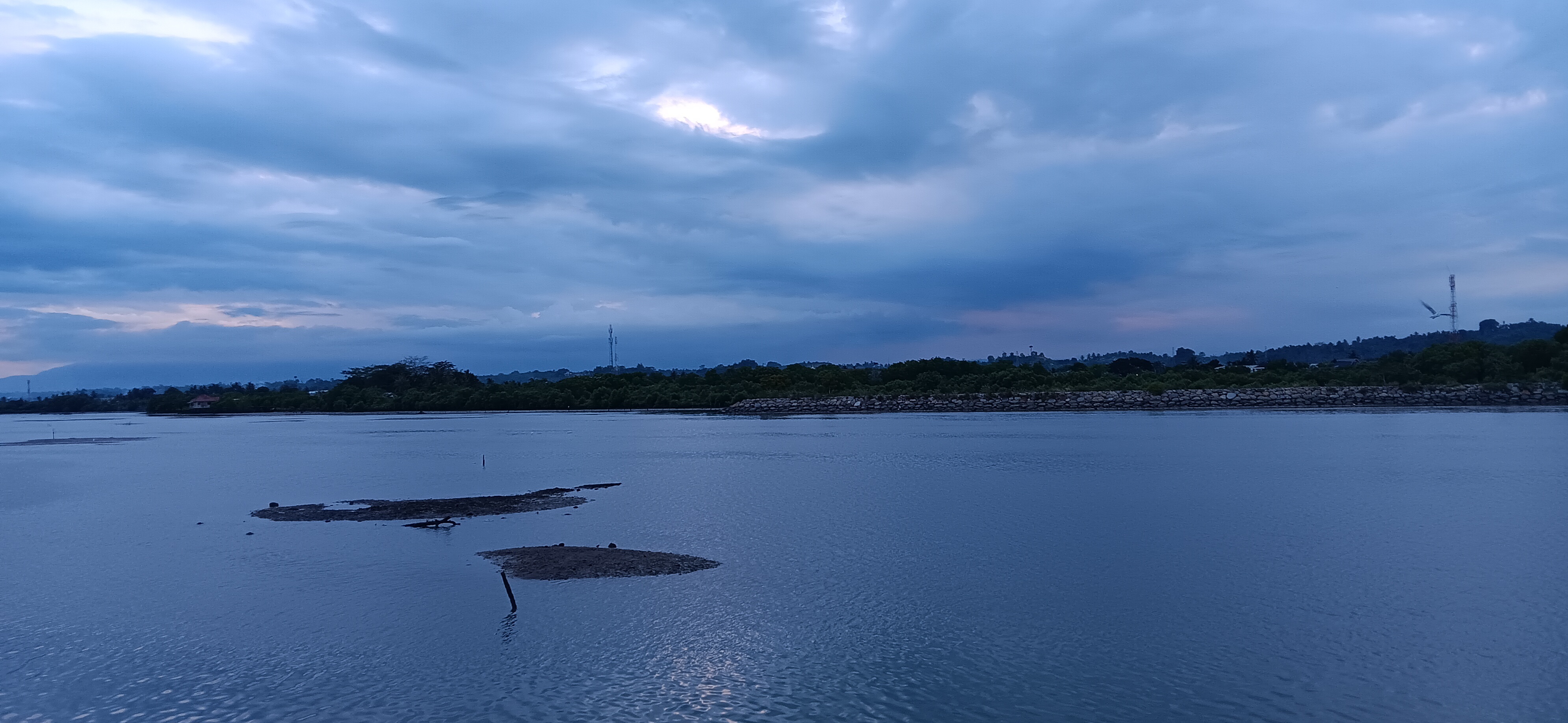 20241130_180841.jpg