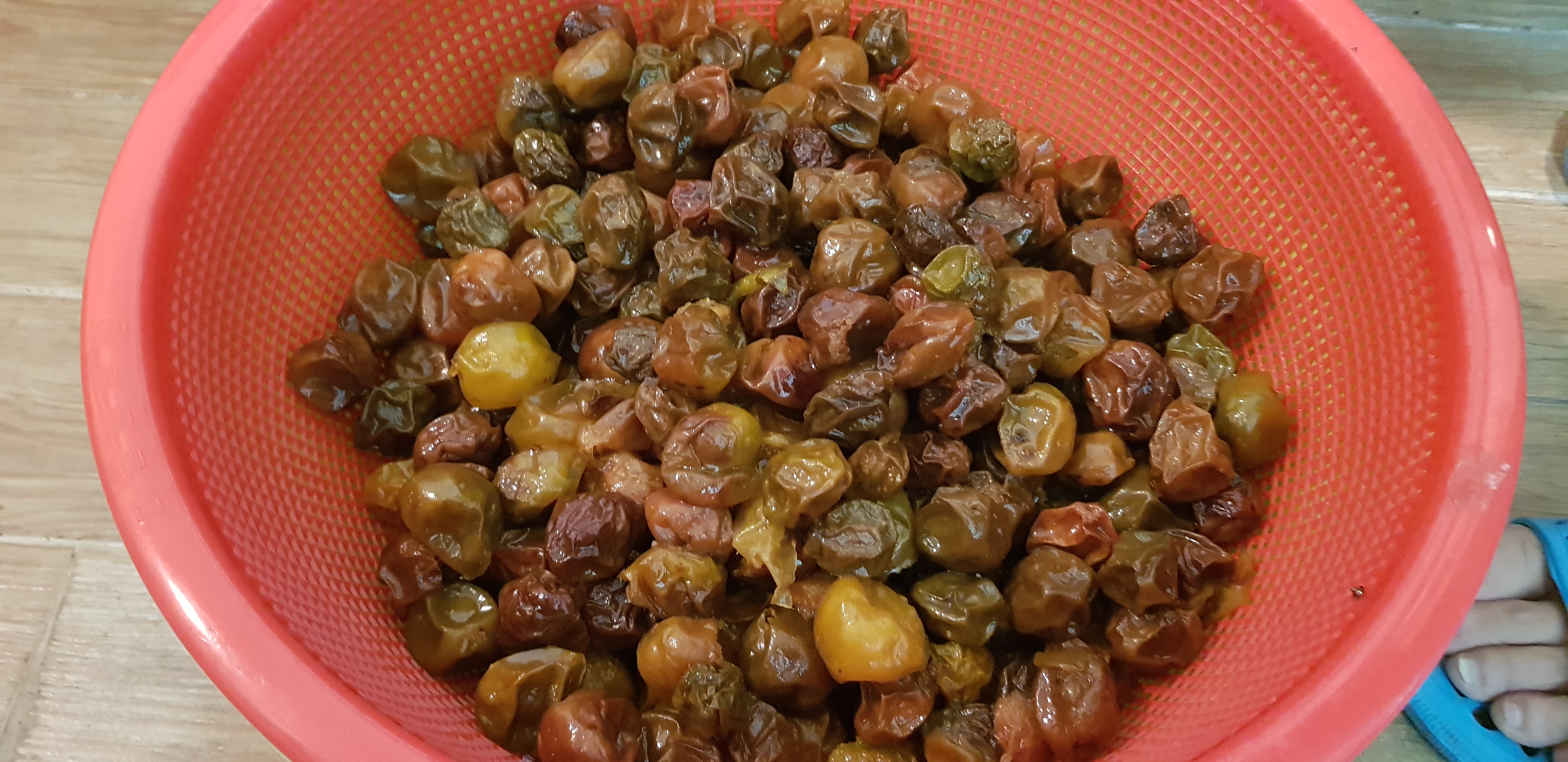 20201016_194521.jpg