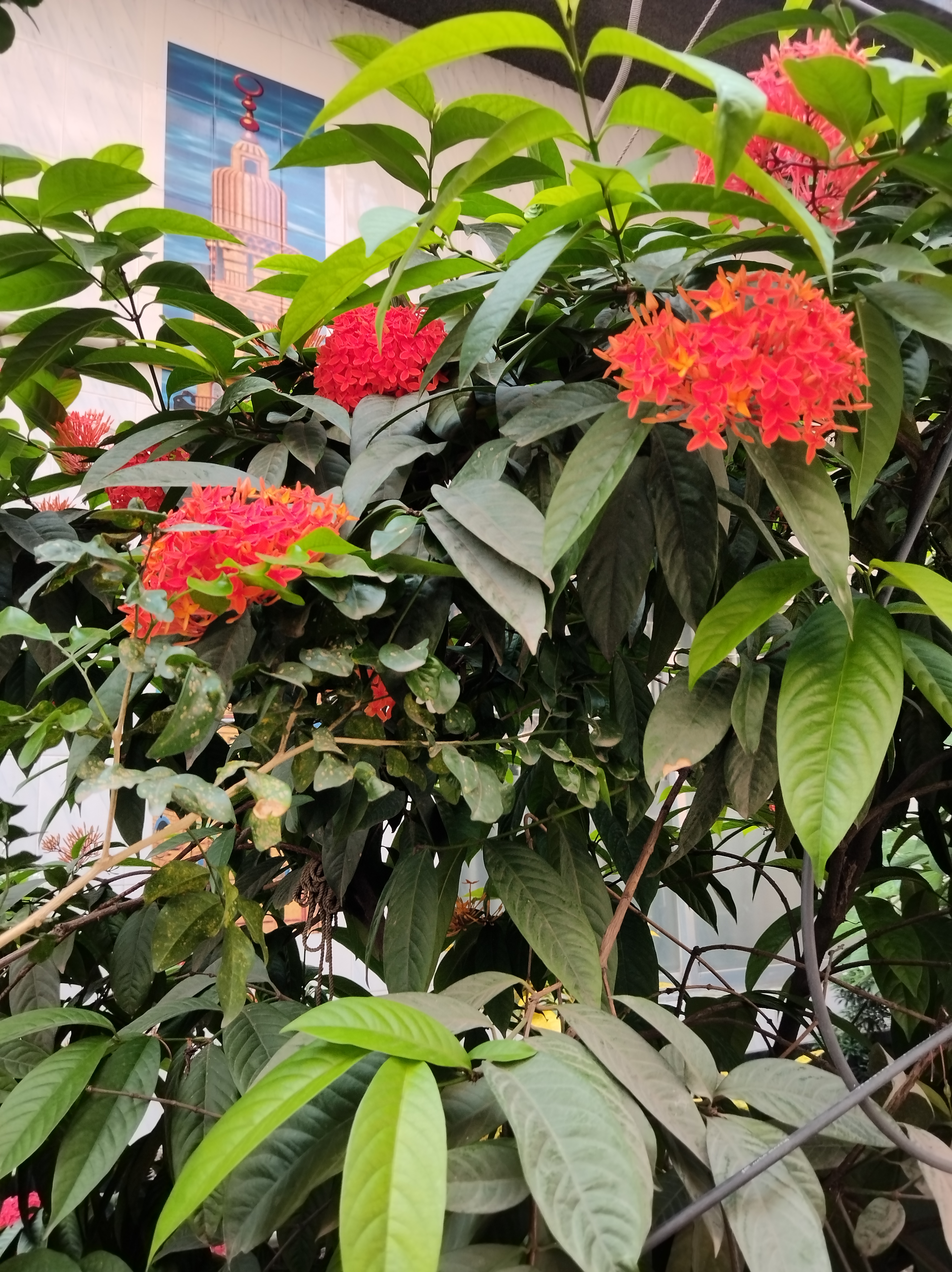 IMG_20230928_095520.jpg