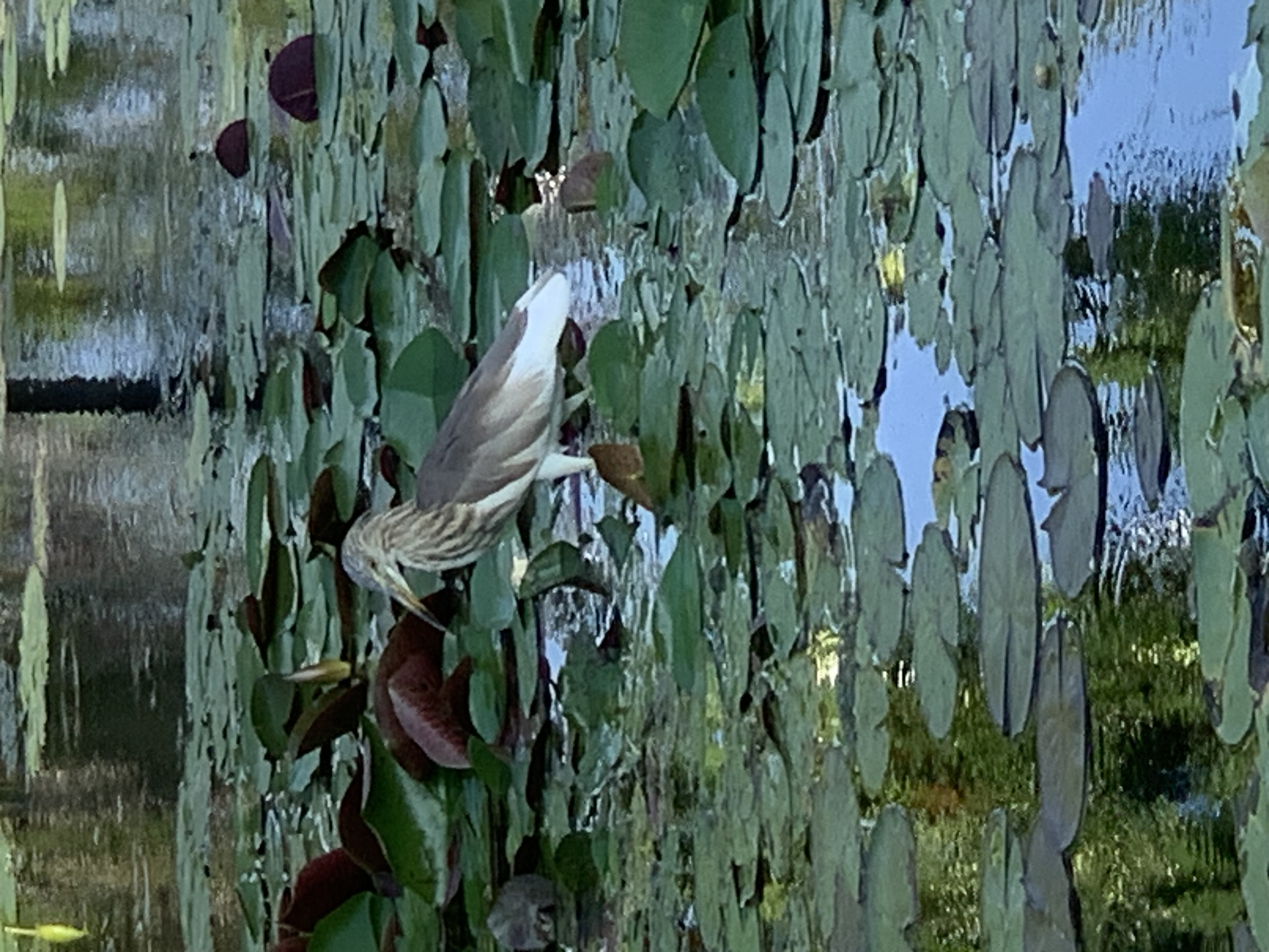 birdwatching spots5.jpg