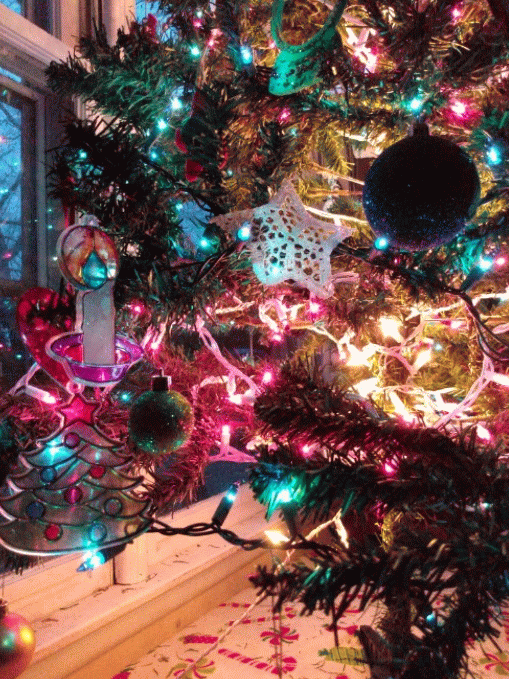 20191210_223617-ANIMATION.gif