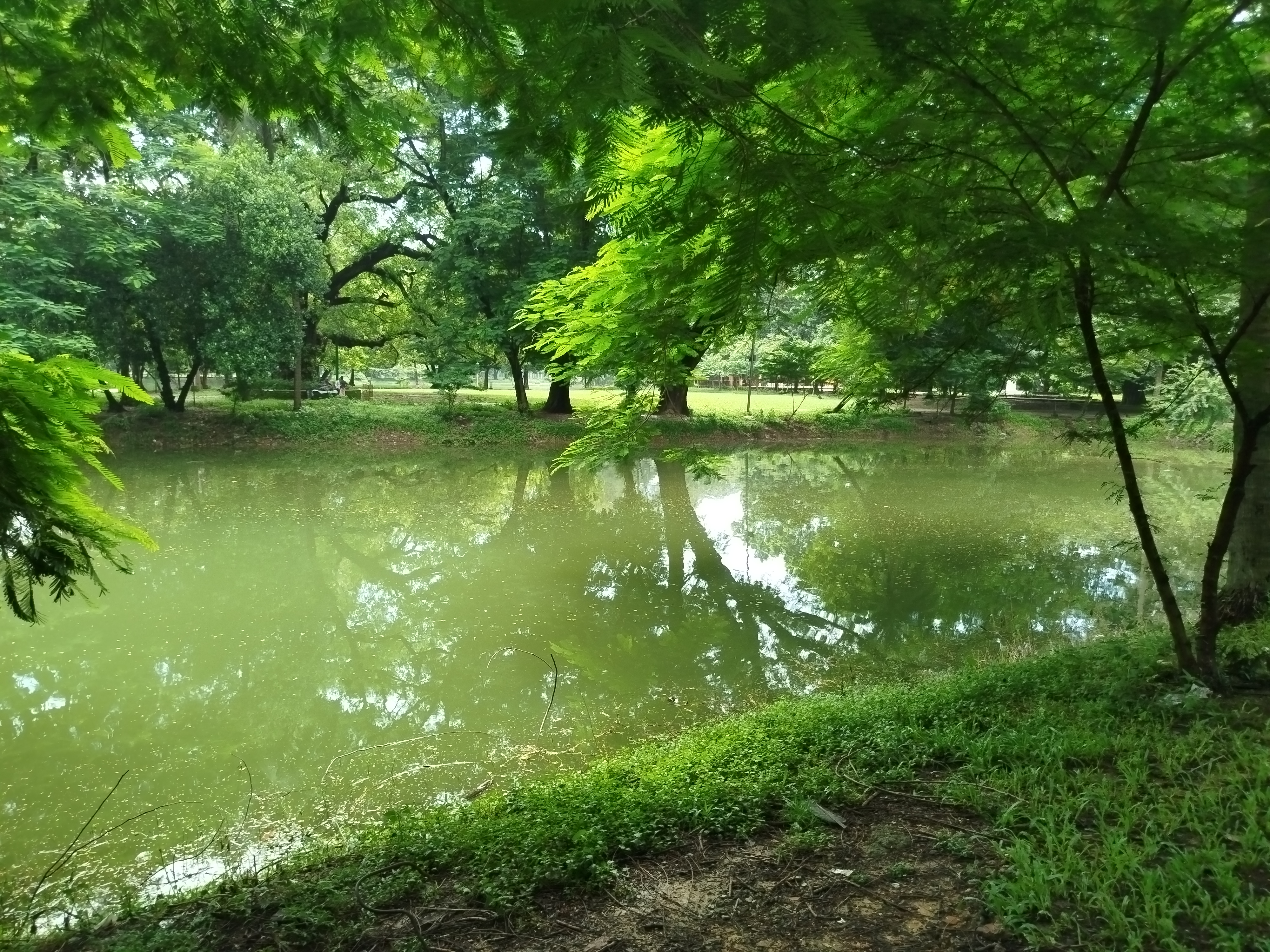 IMG_20260812_091516.jpg