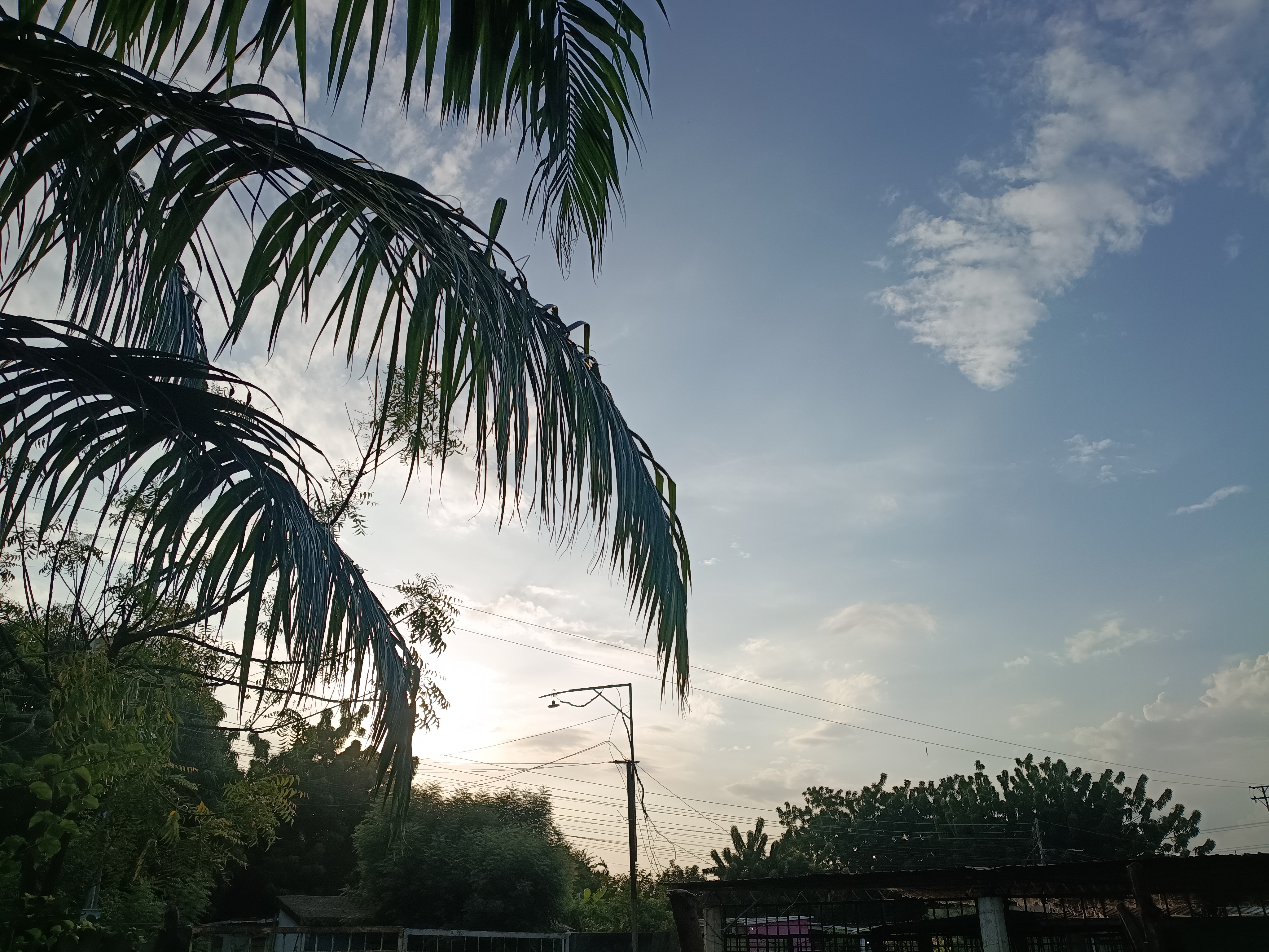 46966.jpg