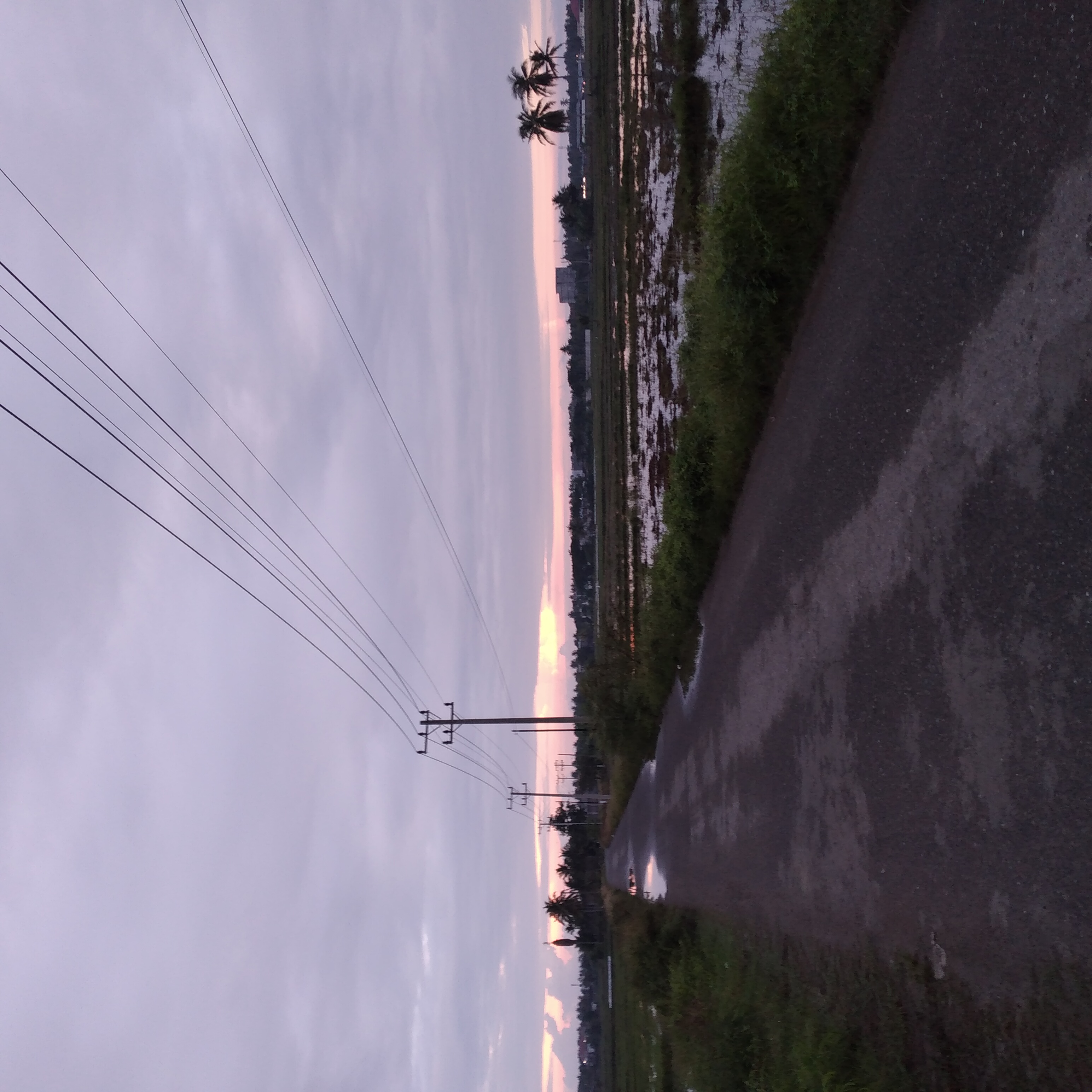 20221216_064225.jpg