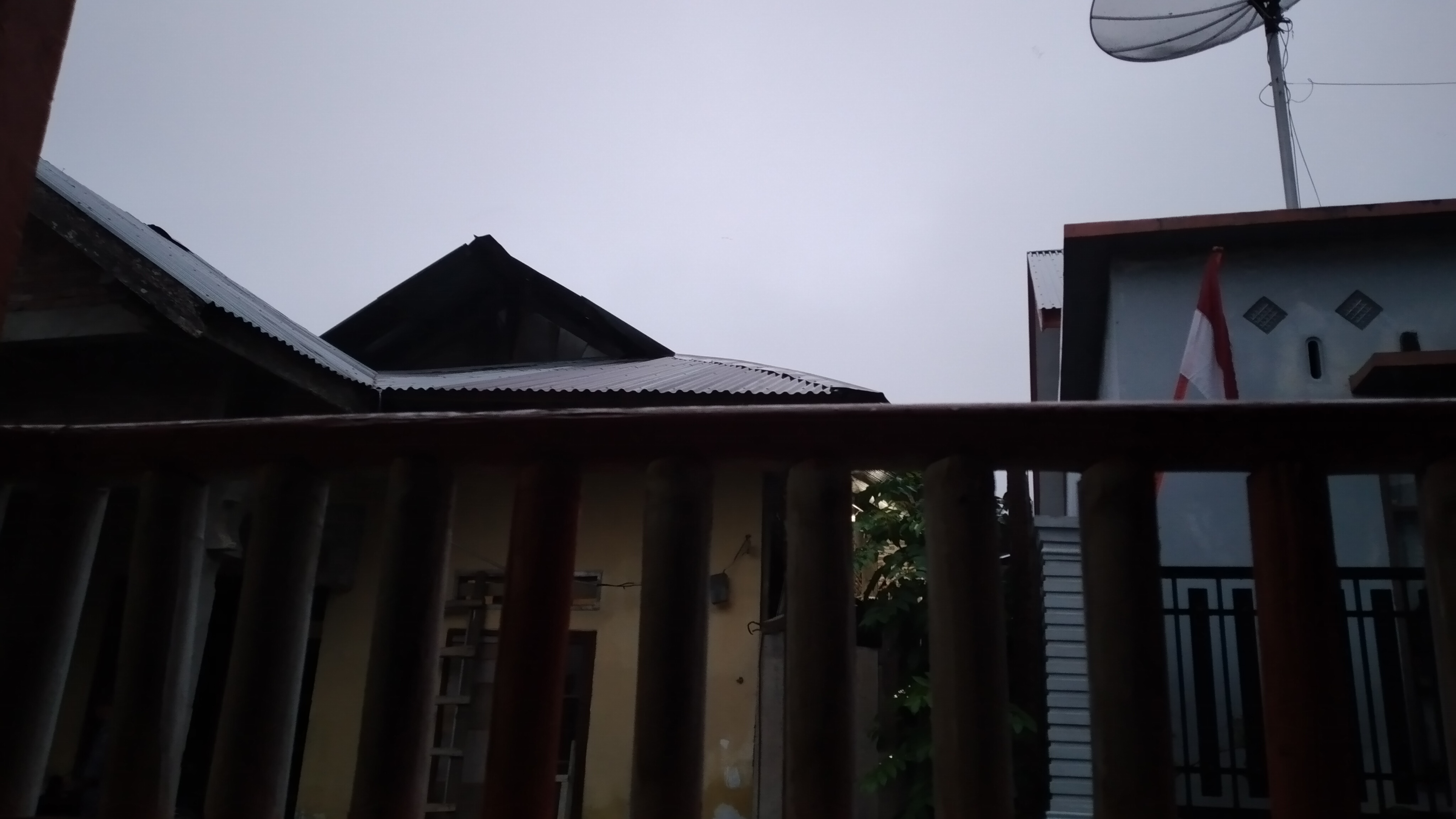 20231112_063304.jpg