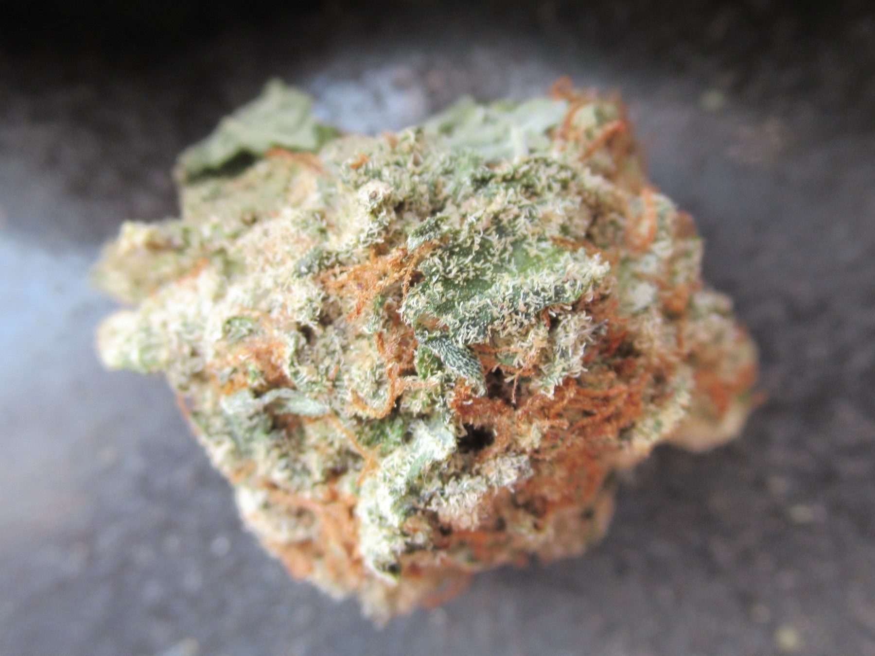 fullnugtop.jpg