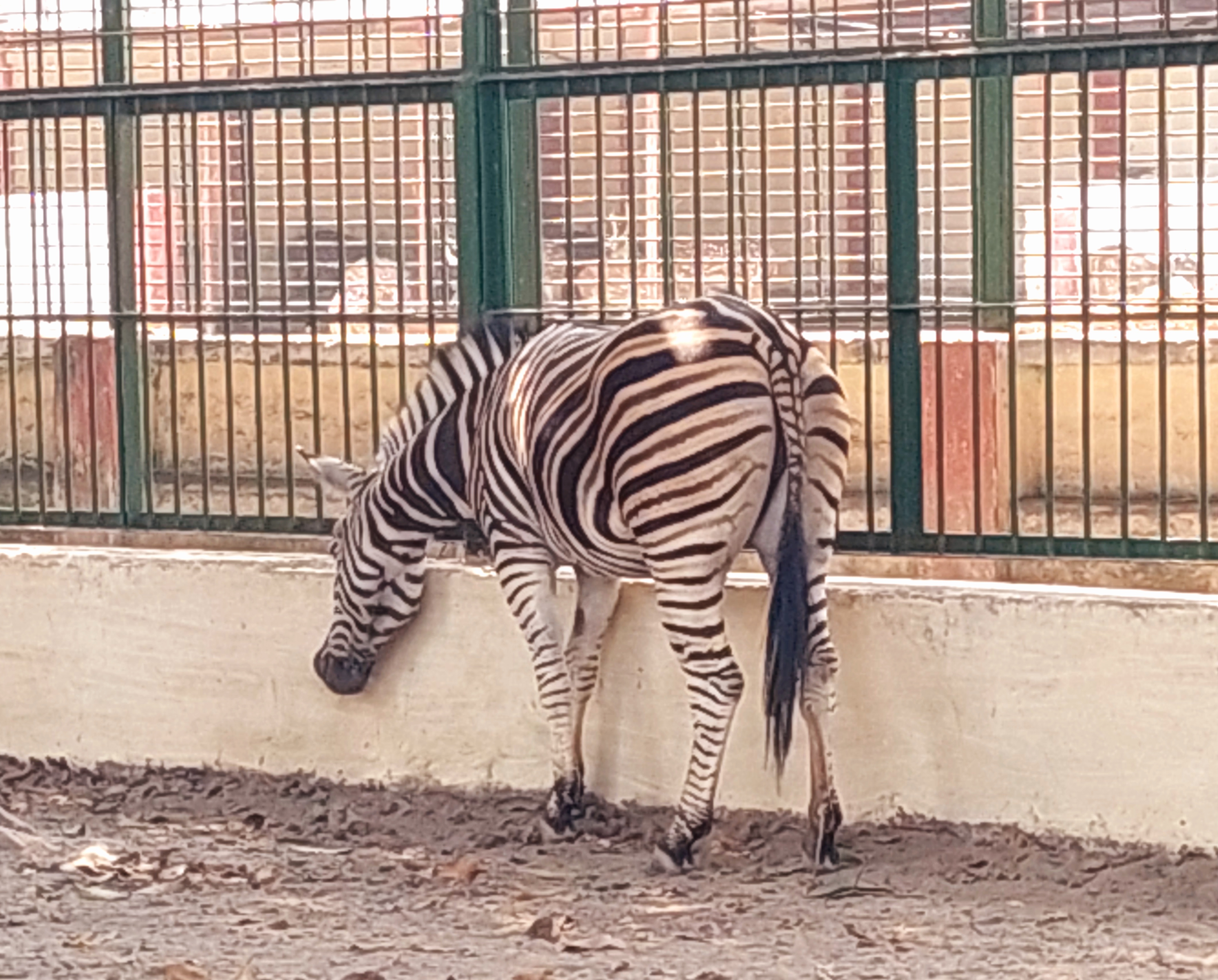 20260228_140843.jpg