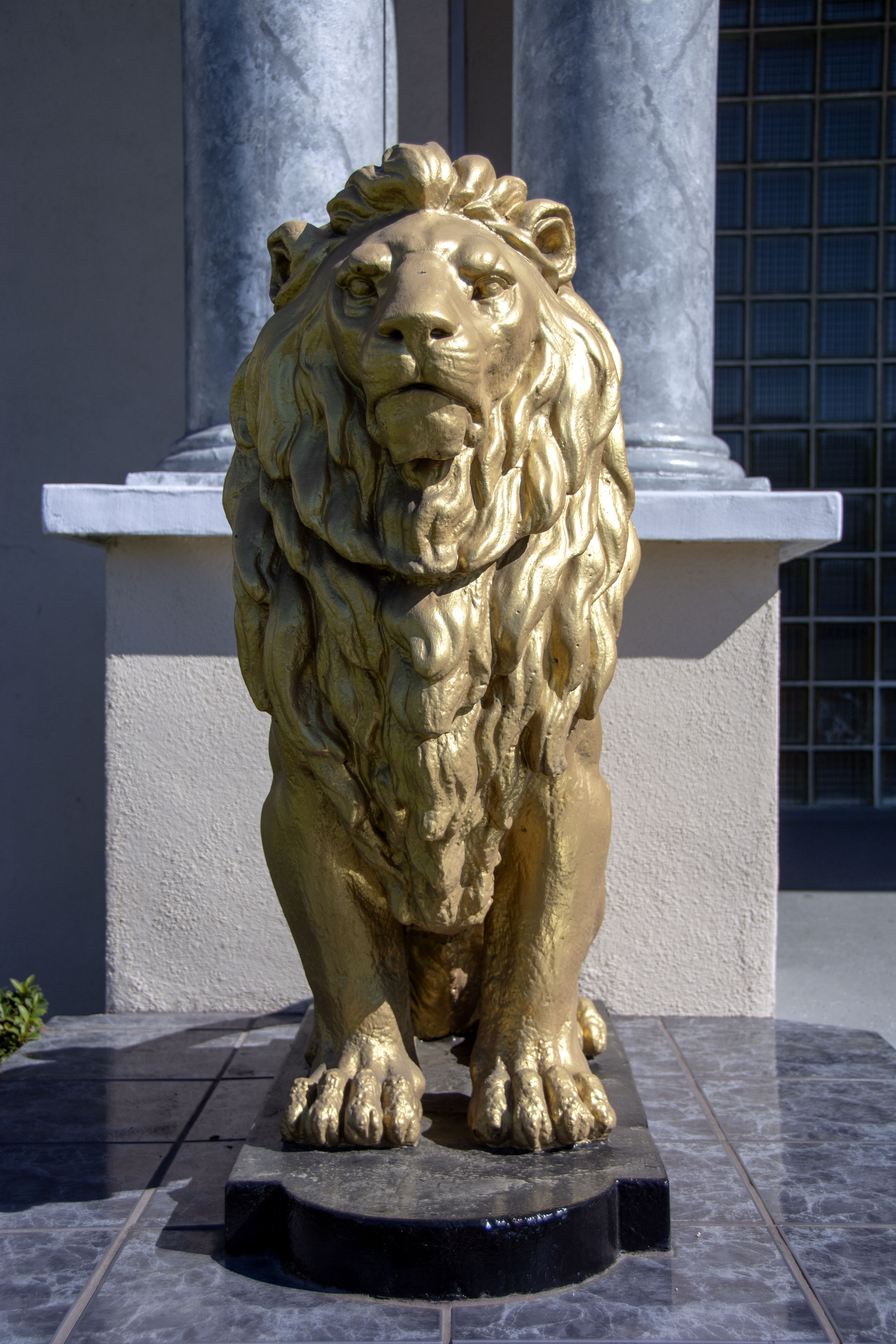DSC_8764.jpg