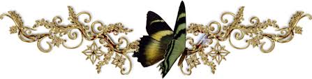 separador mariposa.jpg