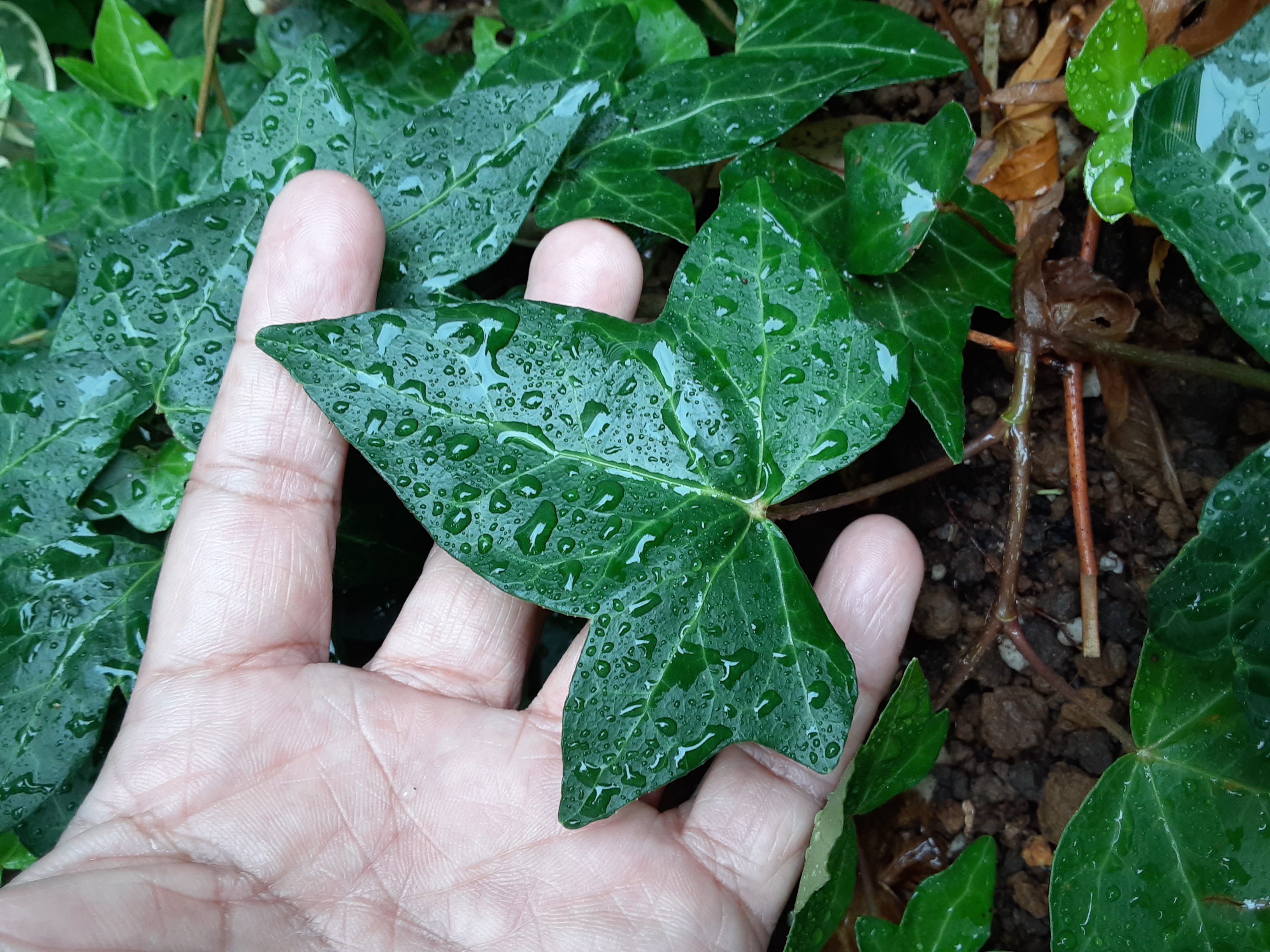 20230520_122013.jpg