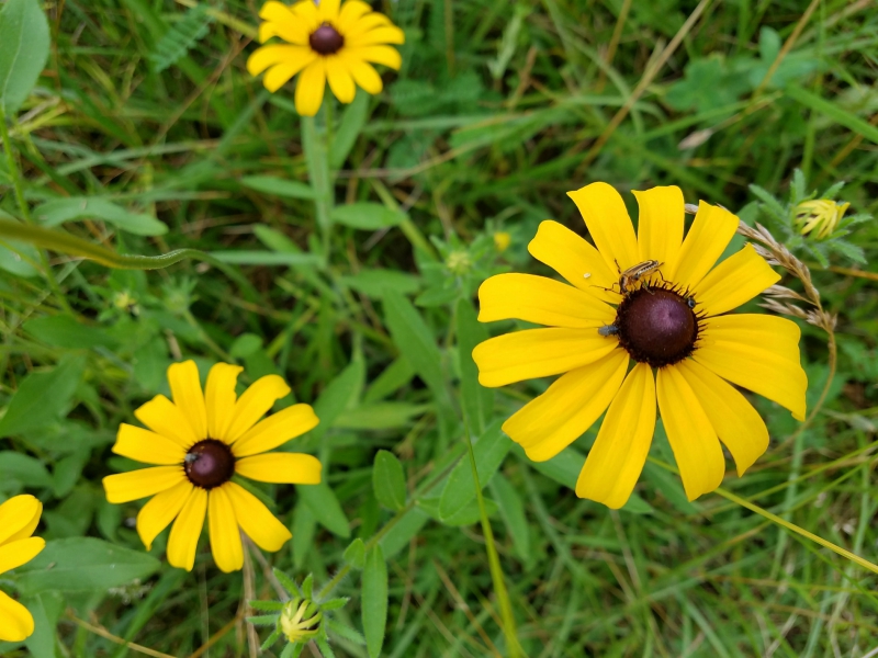 20180613_160654.jpg