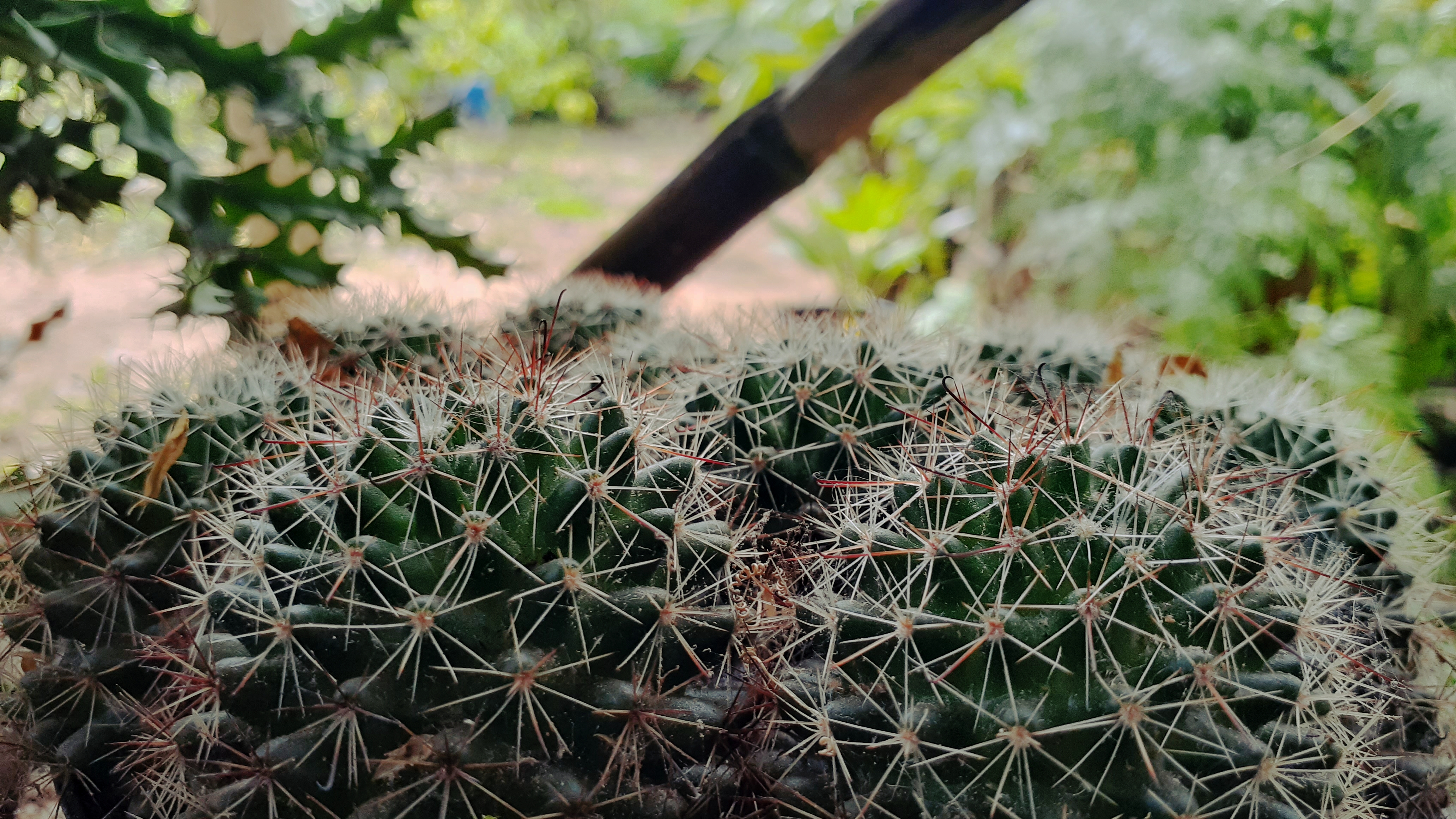 20190804_112538-01.jpeg