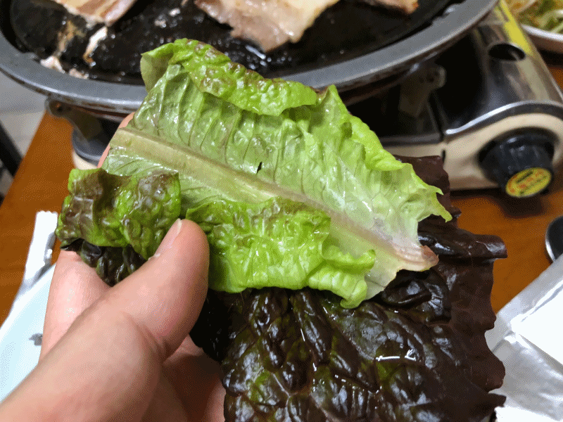 sodtka_2.gif