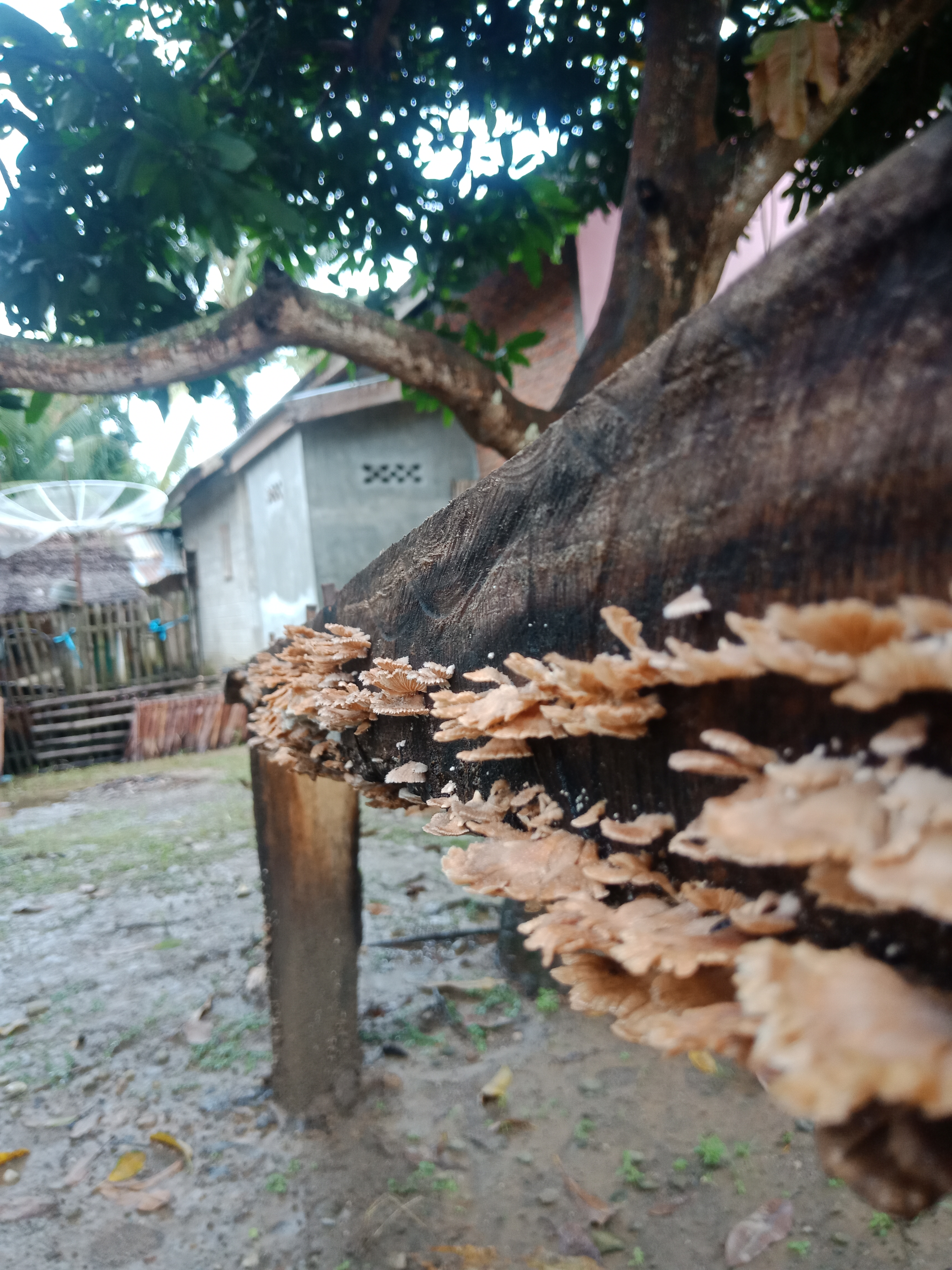 IMG20220102094343.jpg