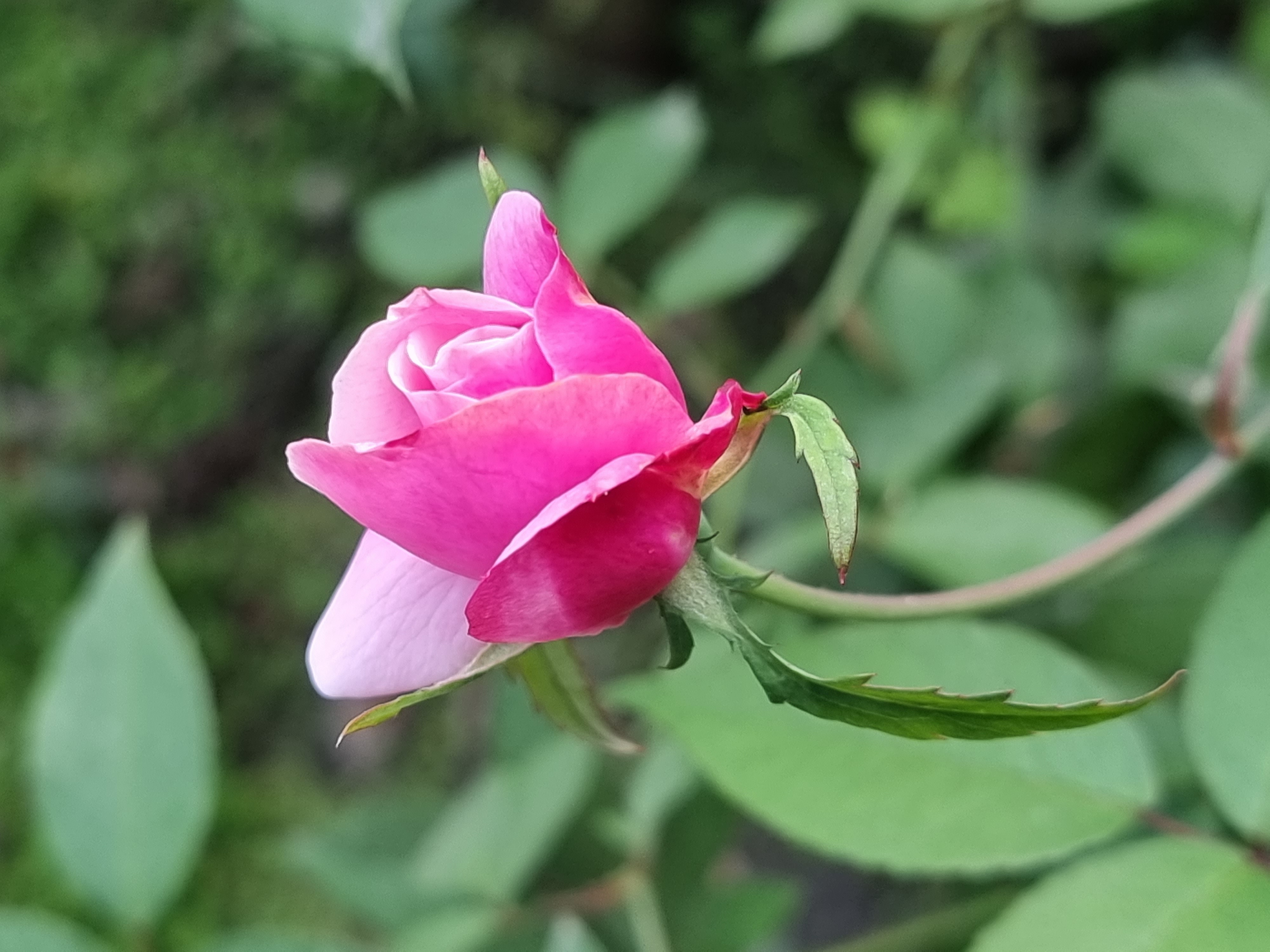 20220110_162713.jpg