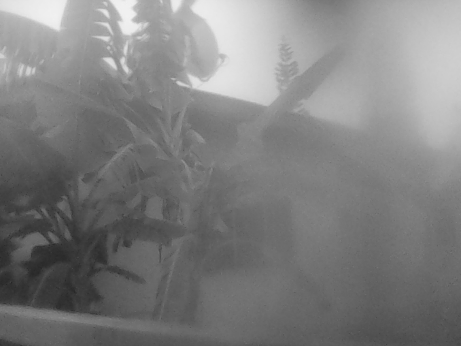 IMG_20200402_161434.jpg