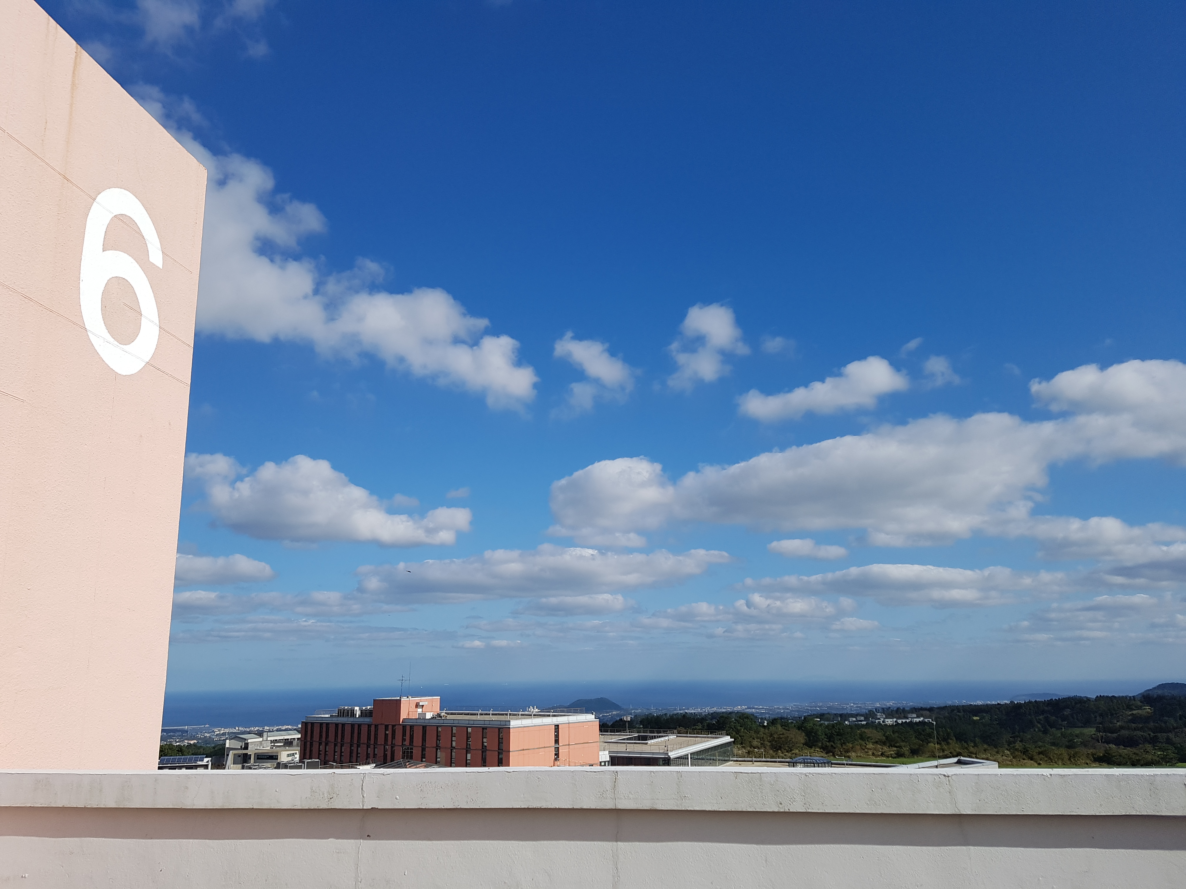 20181018_093334.jpg