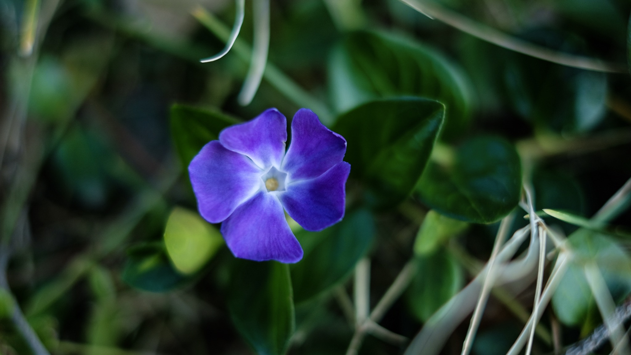 A1B81418-B975-4B82-AAE2-66F3A441BB05.jpeg