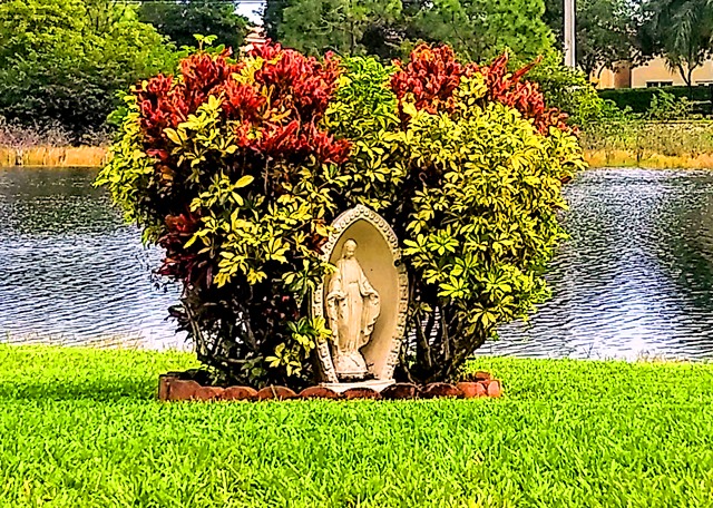 IMG_20191223_112415369.jpg