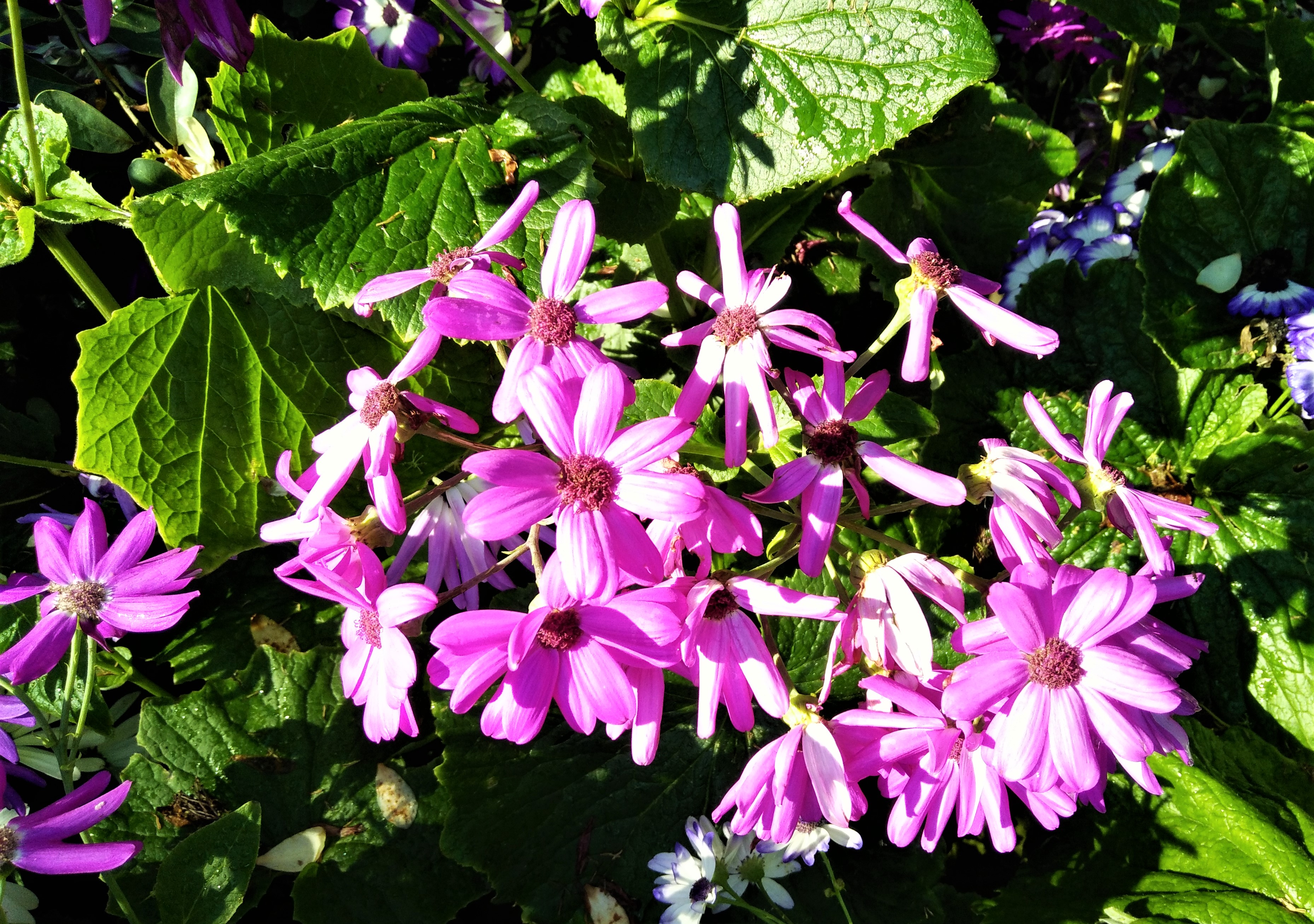 IMG20181017163037.jpg