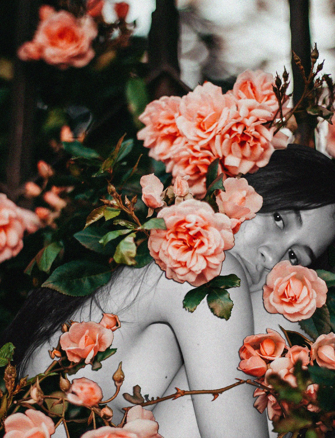 mariamsinn%20-%20wordpress.jpg