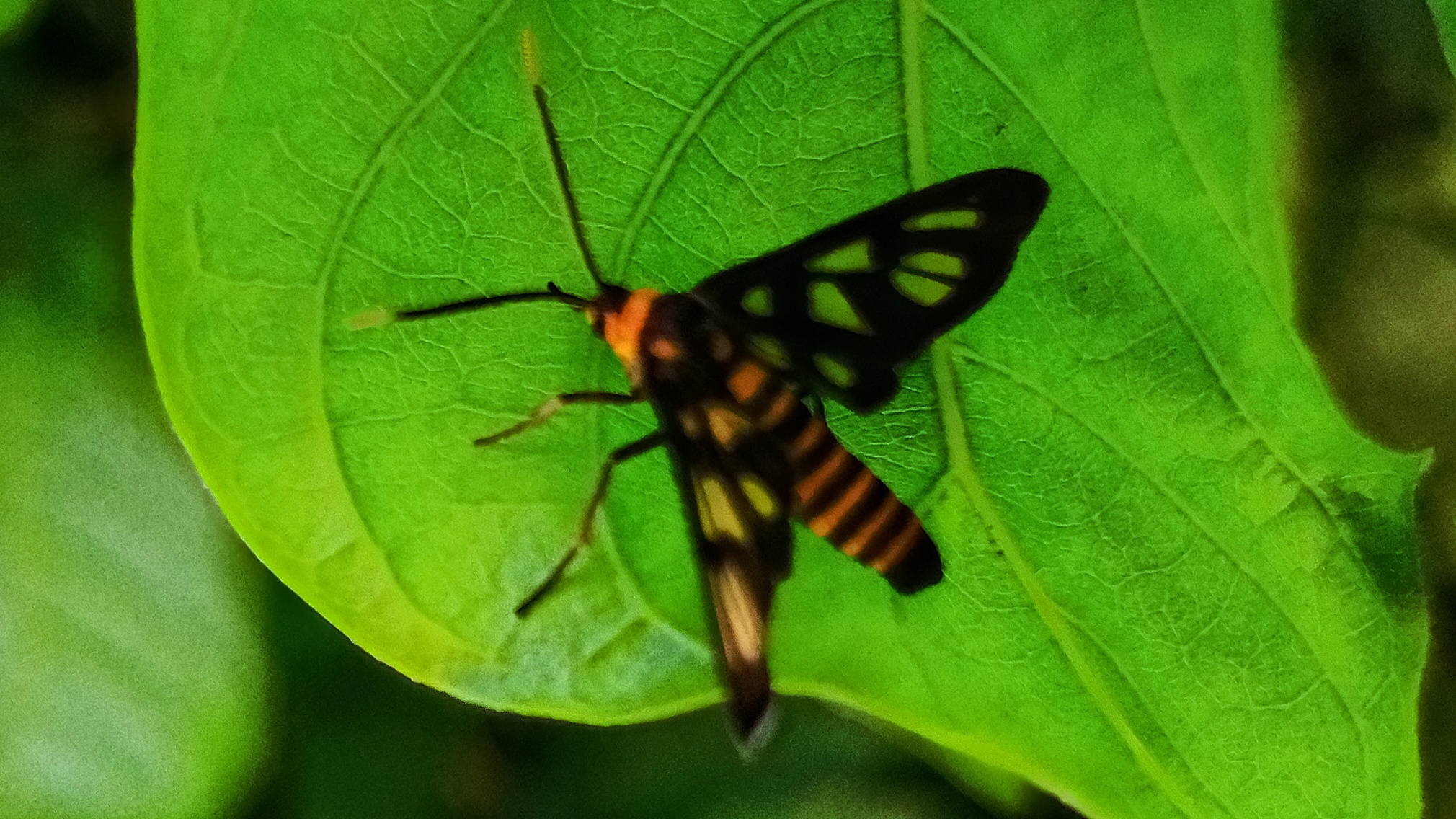 IMG_20200507_101209.jpg