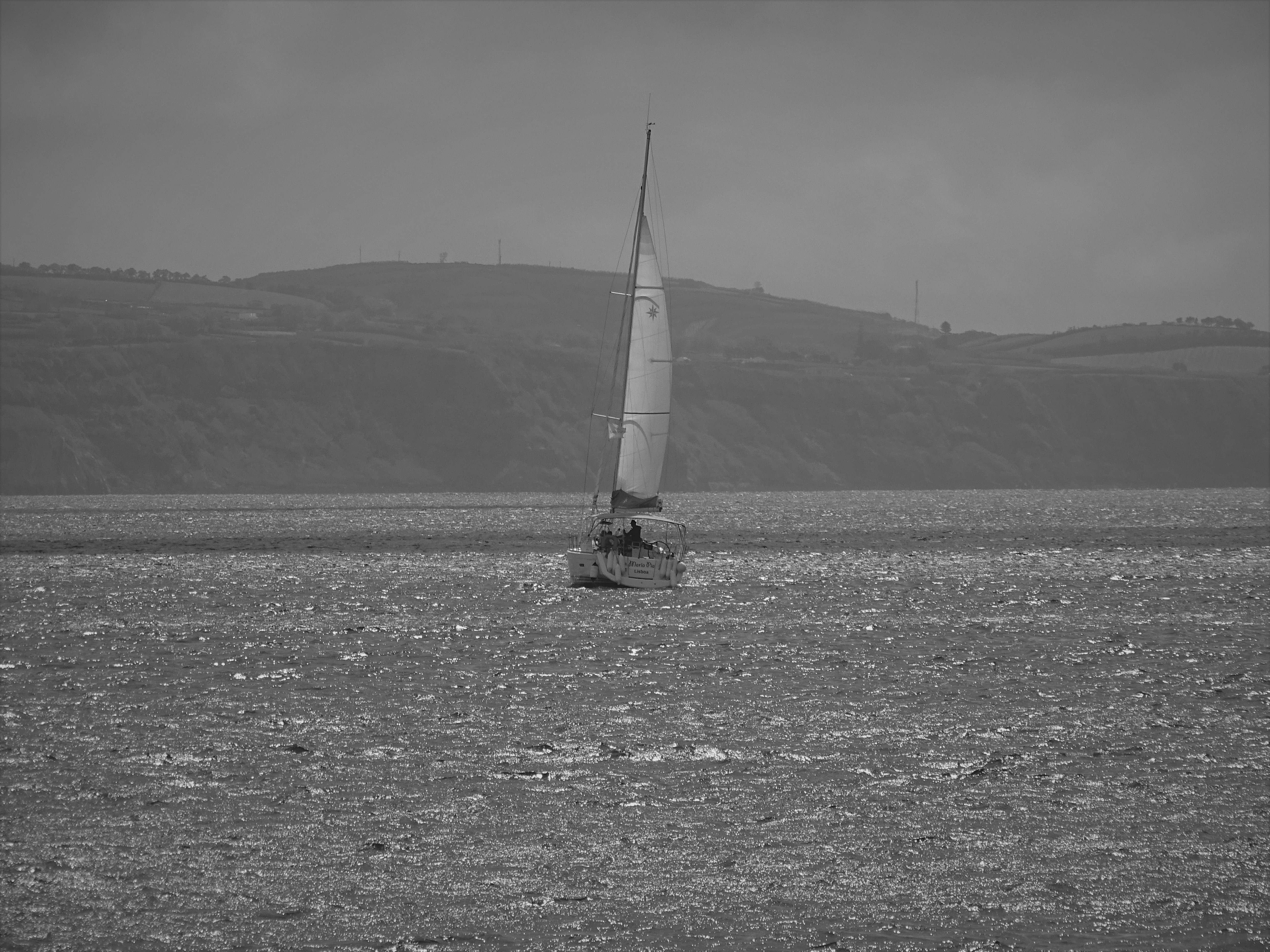 DSC00351.JPG