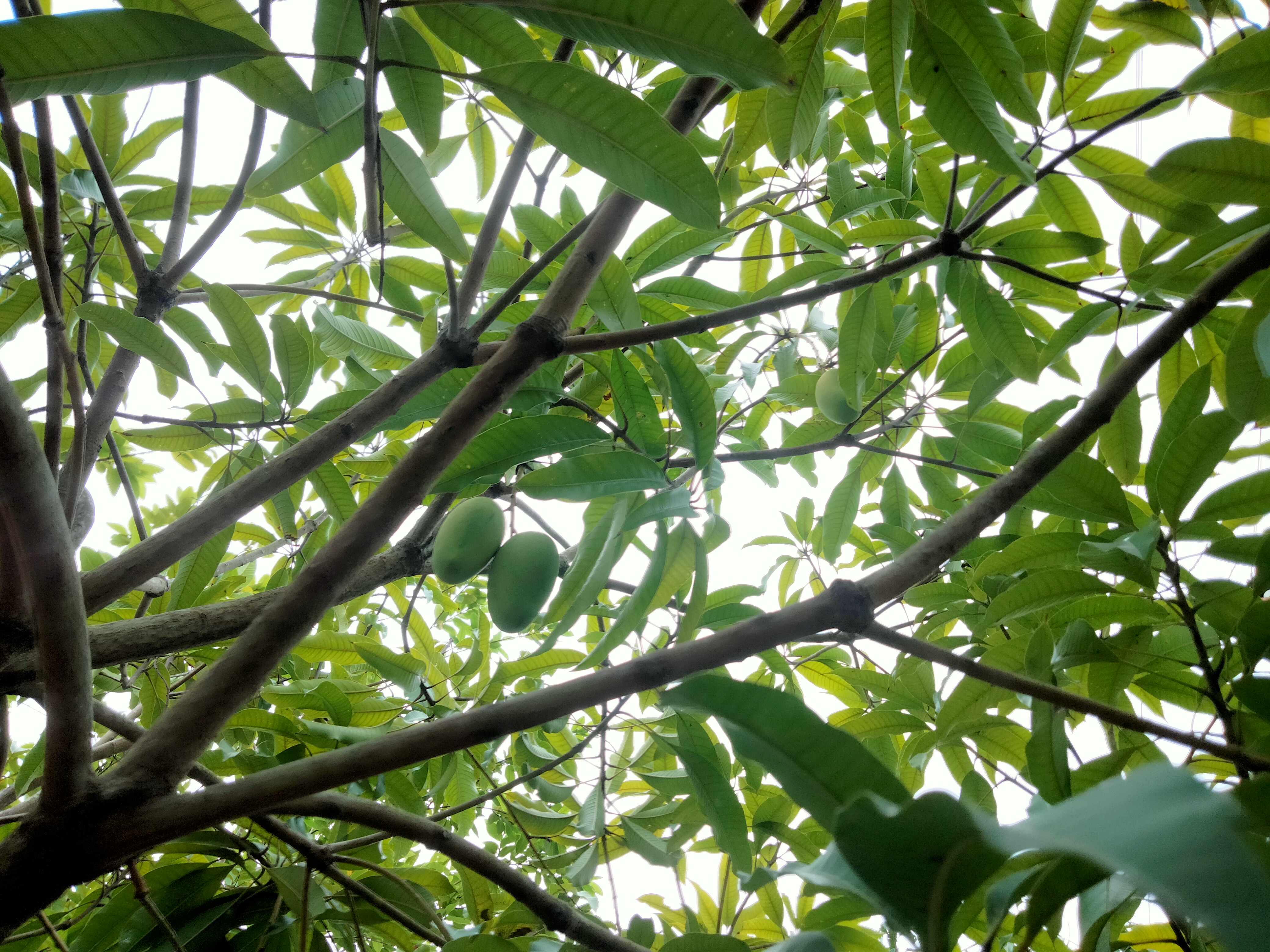 IMG20260516092257.jpg
