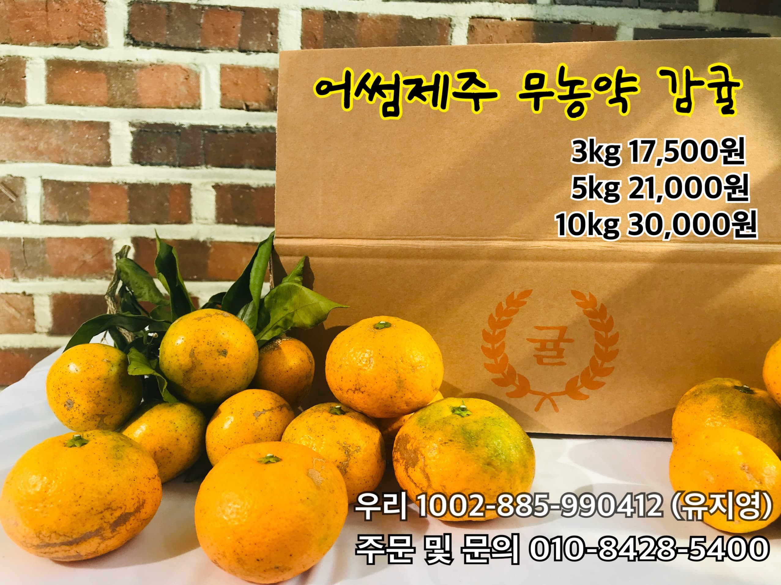 무농약 감귤.jpg