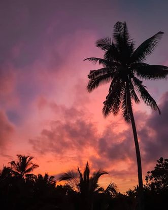 82072014_111527657036865_3166077945890471936_n (1).jpg