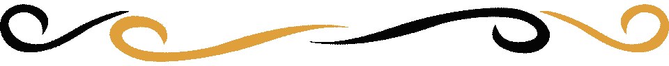 separador1%20negro%20amarillo.png