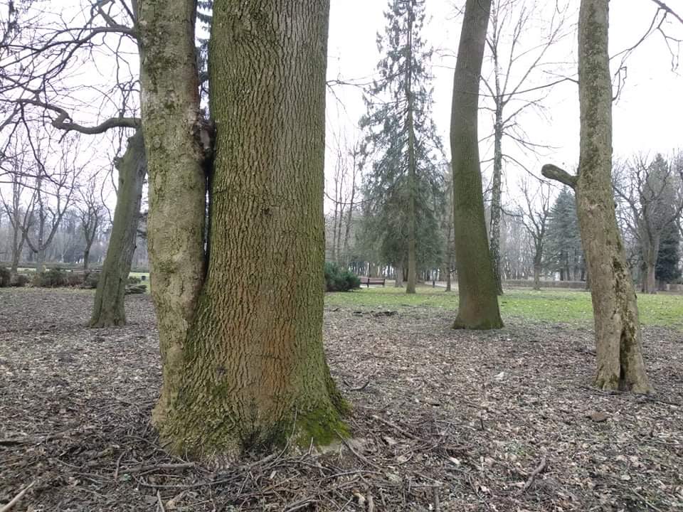 received_212551913460691.jpeg