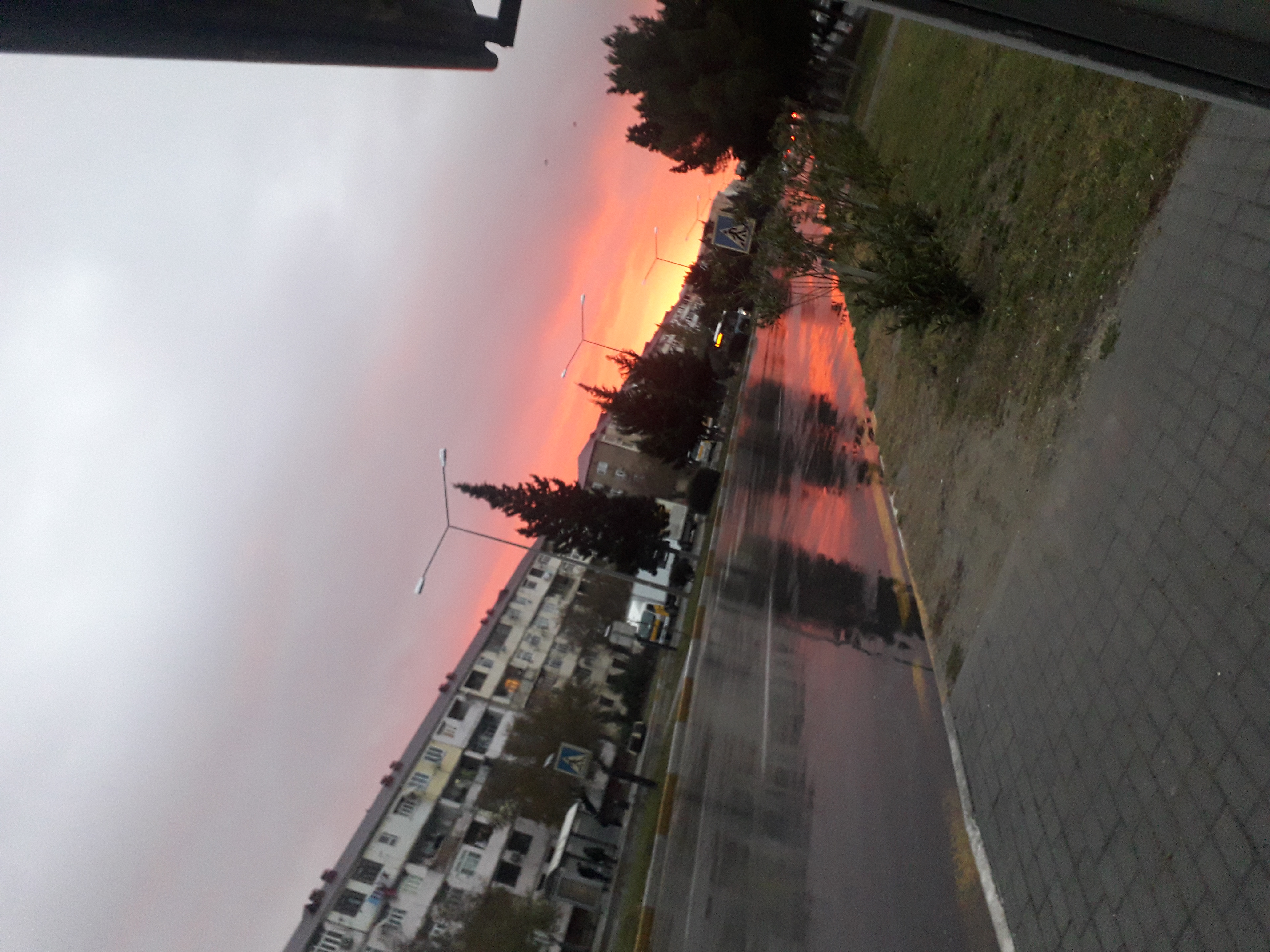 20211119_073234.jpg