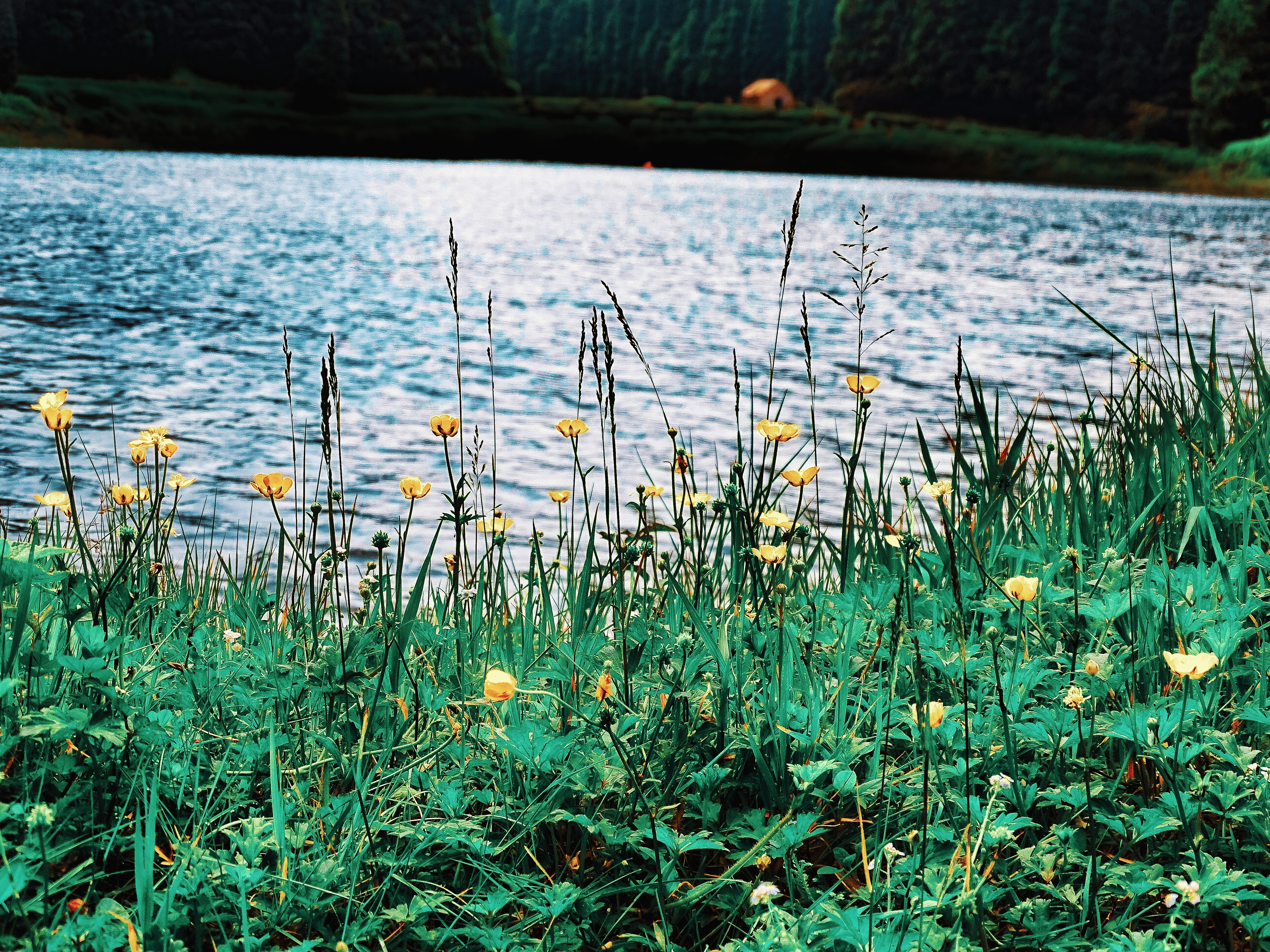 DSC07351_3.jpg