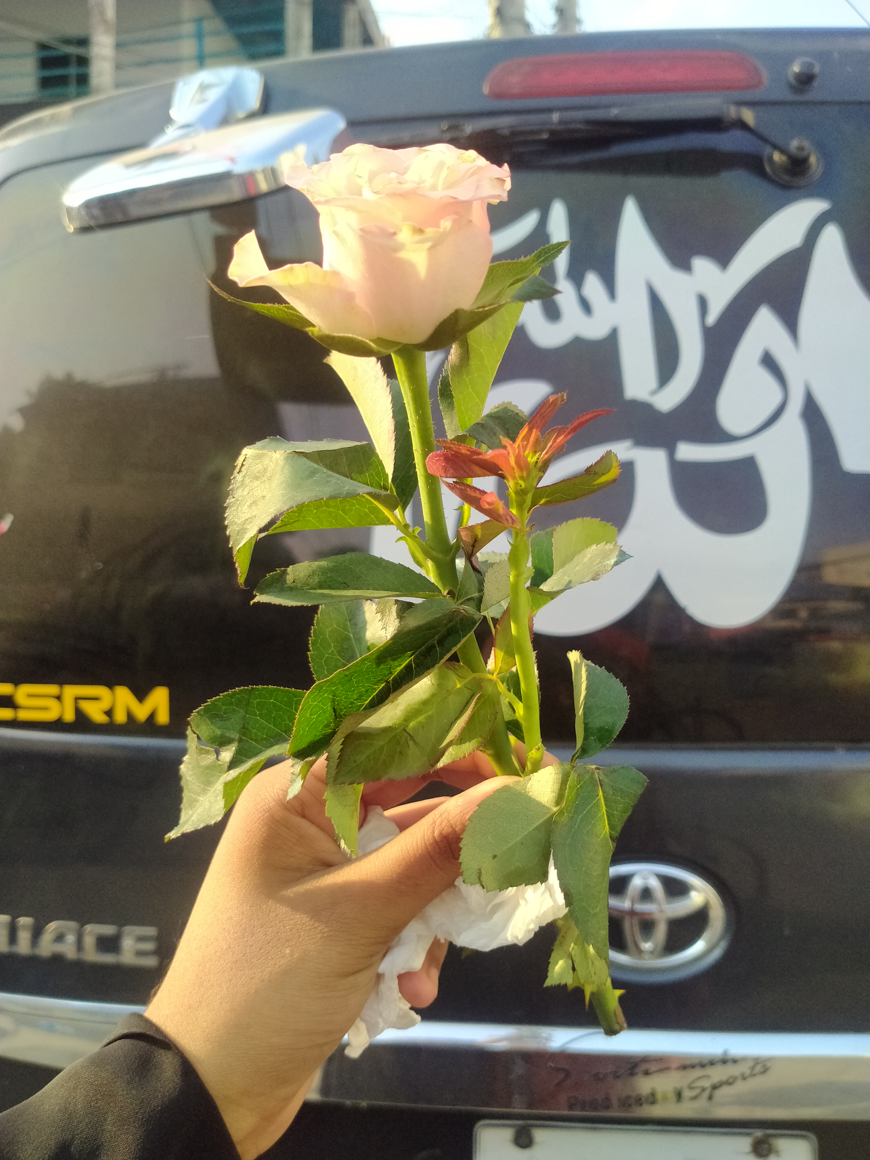 IMG20240611165354.jpg