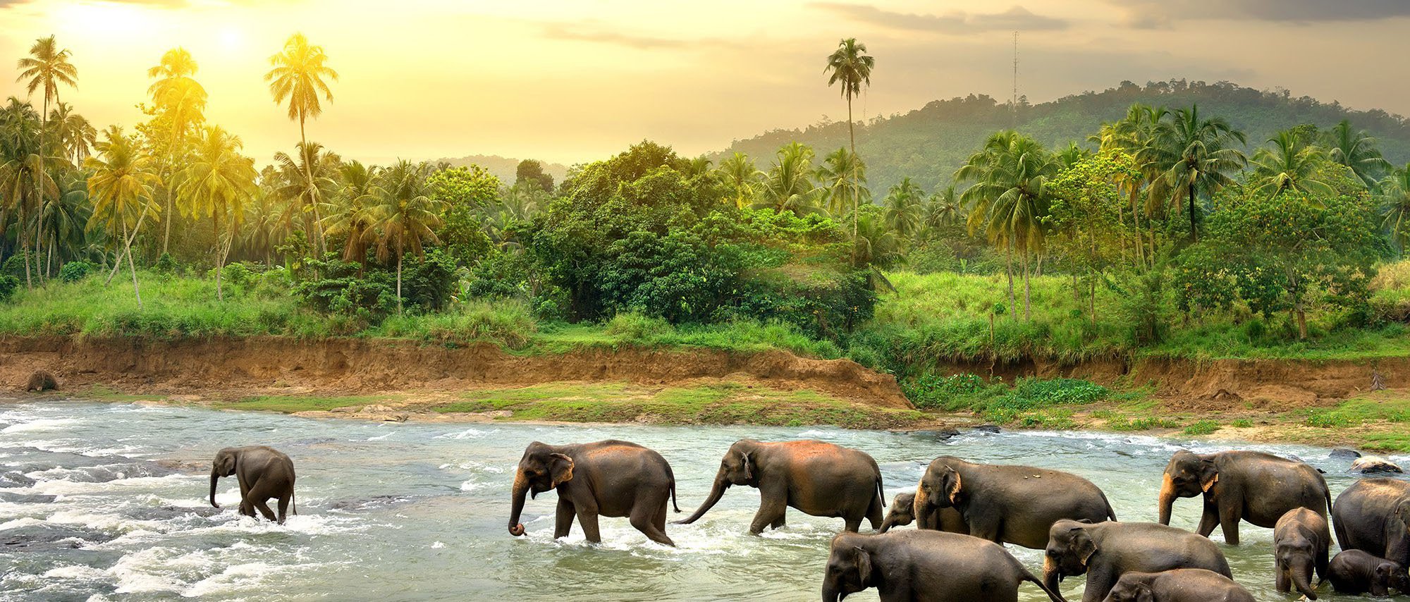 srilanka.original.jpg