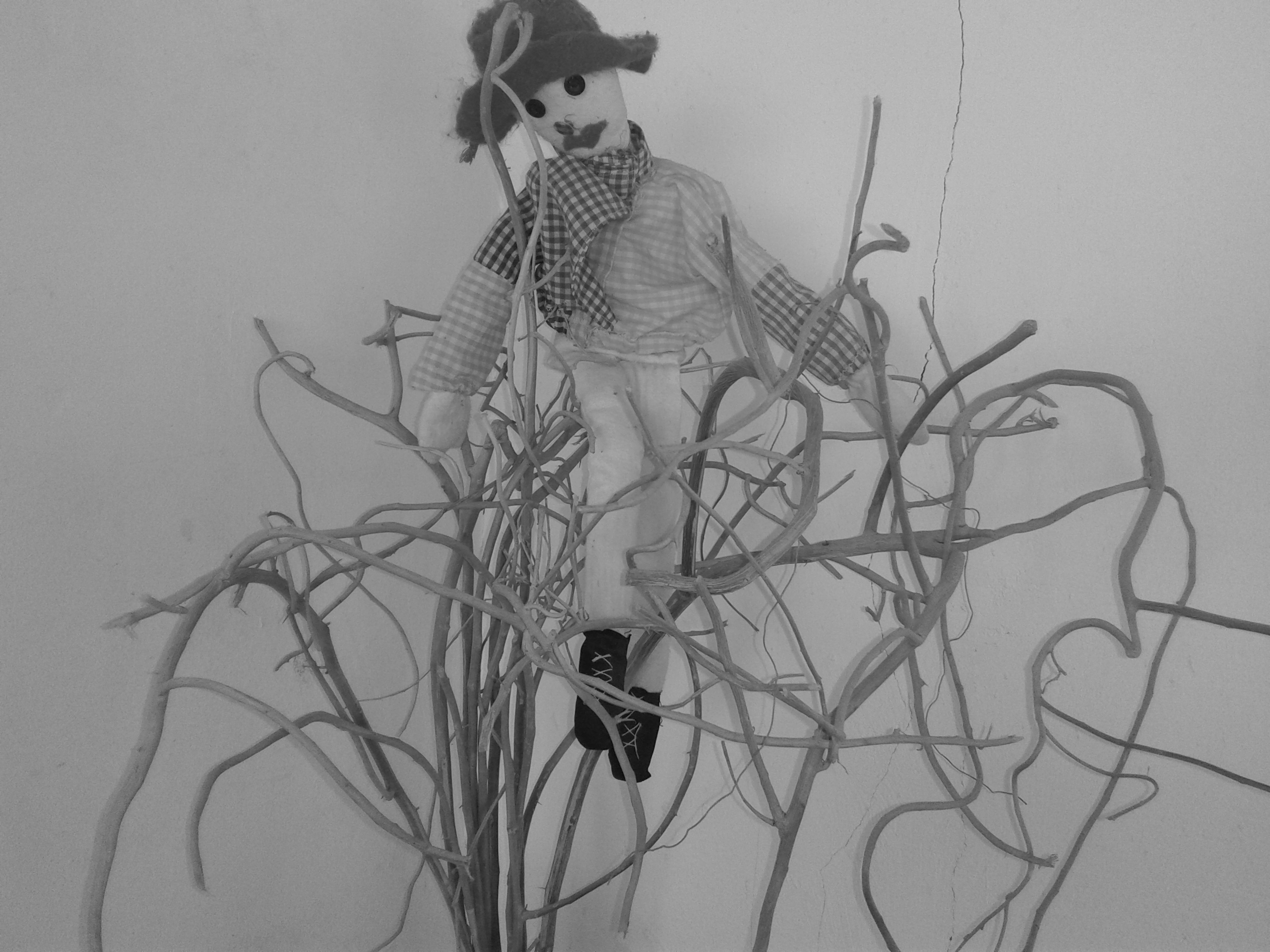 20180527_072343.jpg