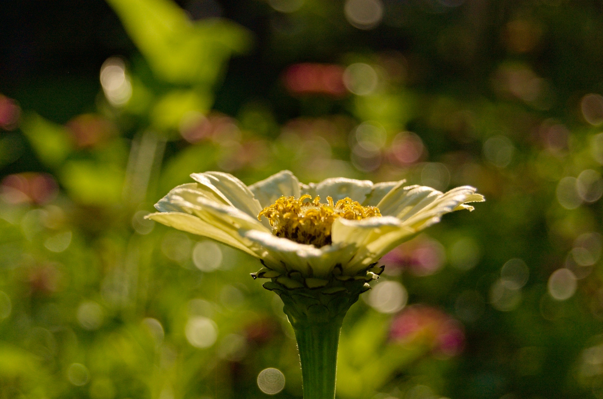 DSC_9578.jpg