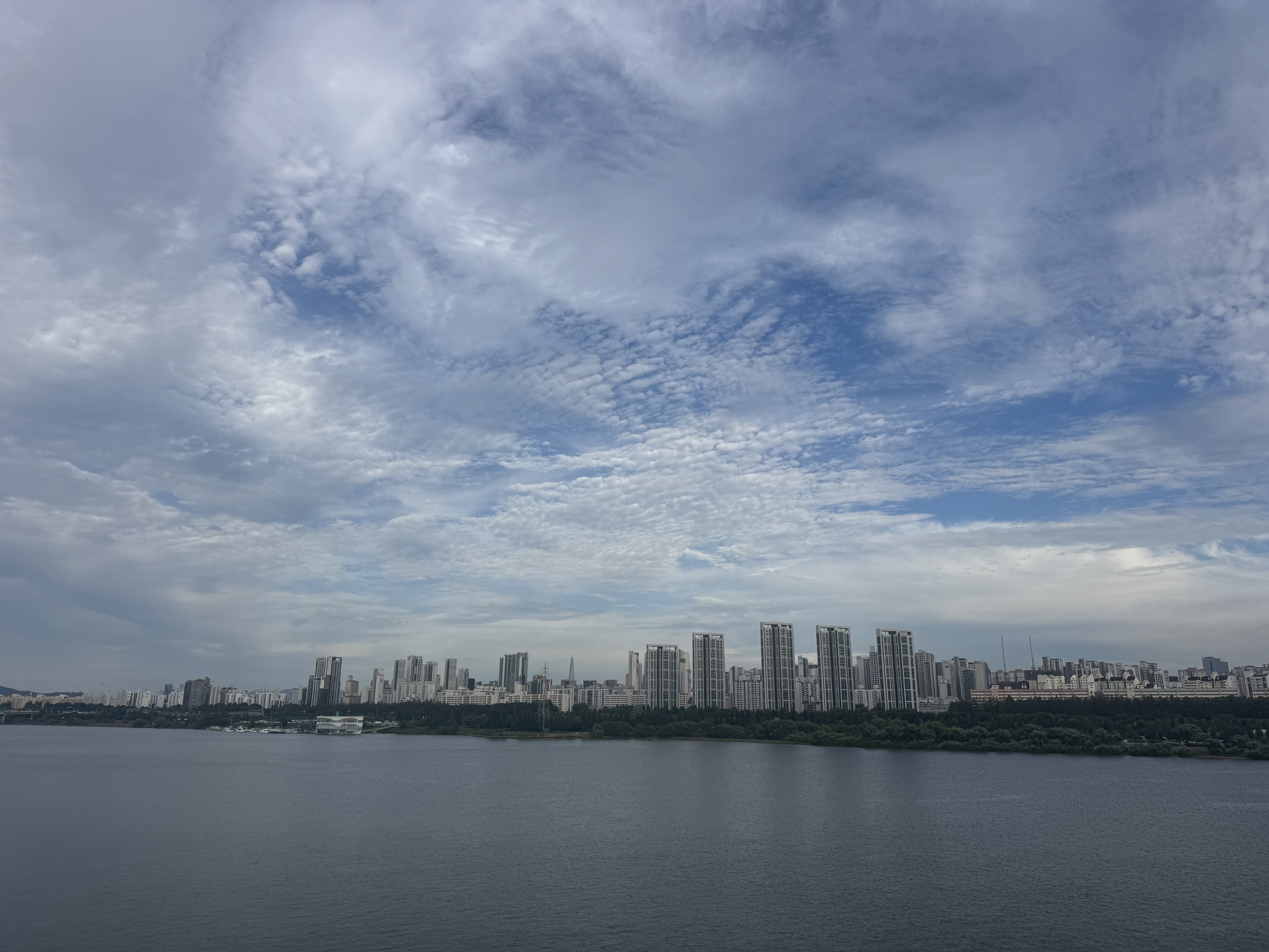 IMG_2207.jpeg